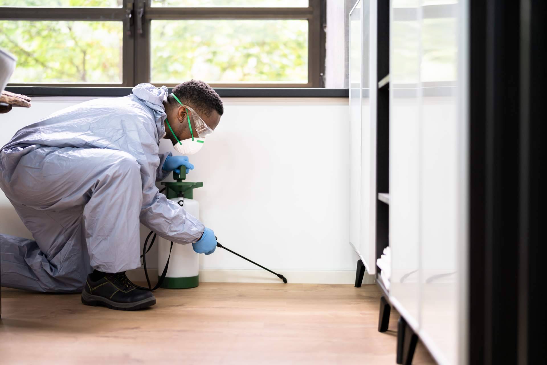 La importancia de fumigar cucarachas y eliminar hormigas