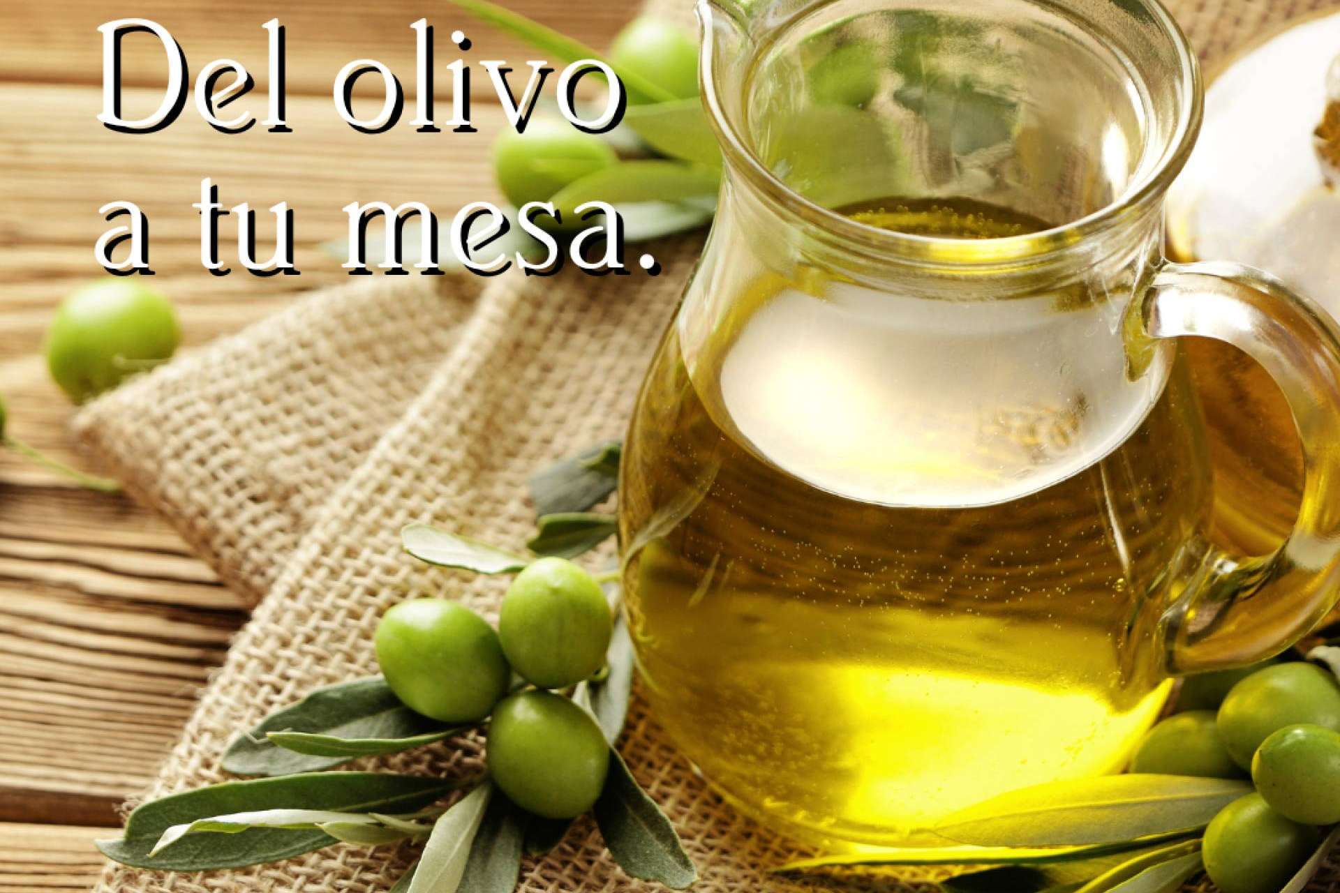 Las propiedades del aceite de Oliva Virgen Extra de Olipaterna
