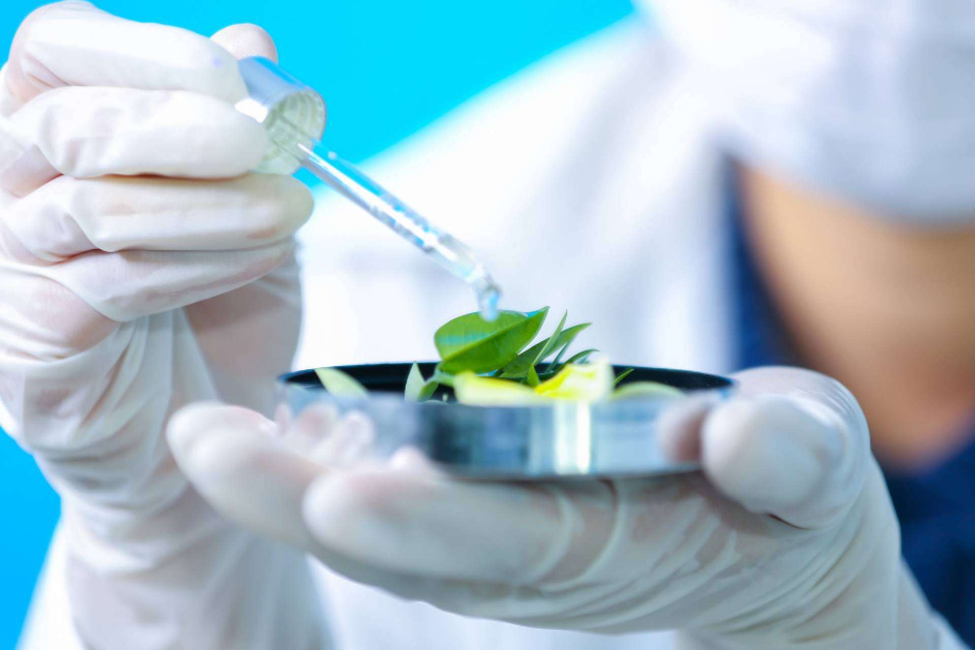 Masinmune y las soluciones para reforzar las defensas contra virus