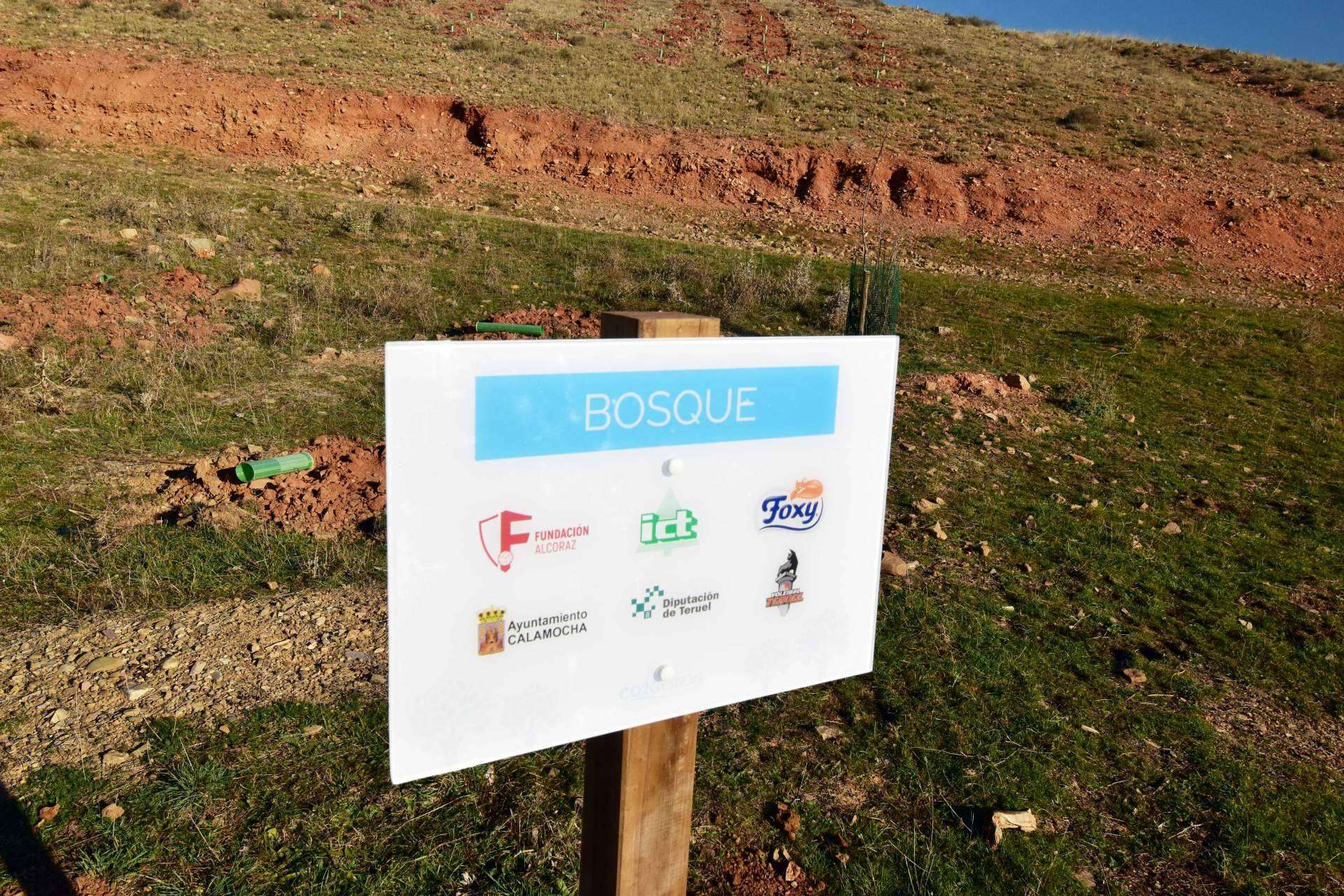 El referente nacional CO2 GESTIÓN colabora en la creación de bosques sostenibles