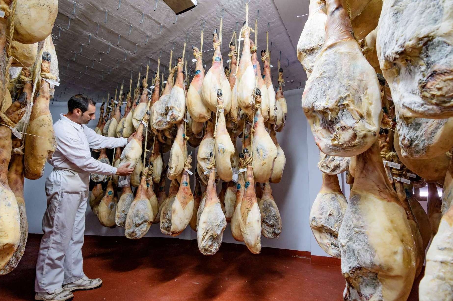 Alba IBS dispone de un software para secaderos de jamones y fábricas de embutidos