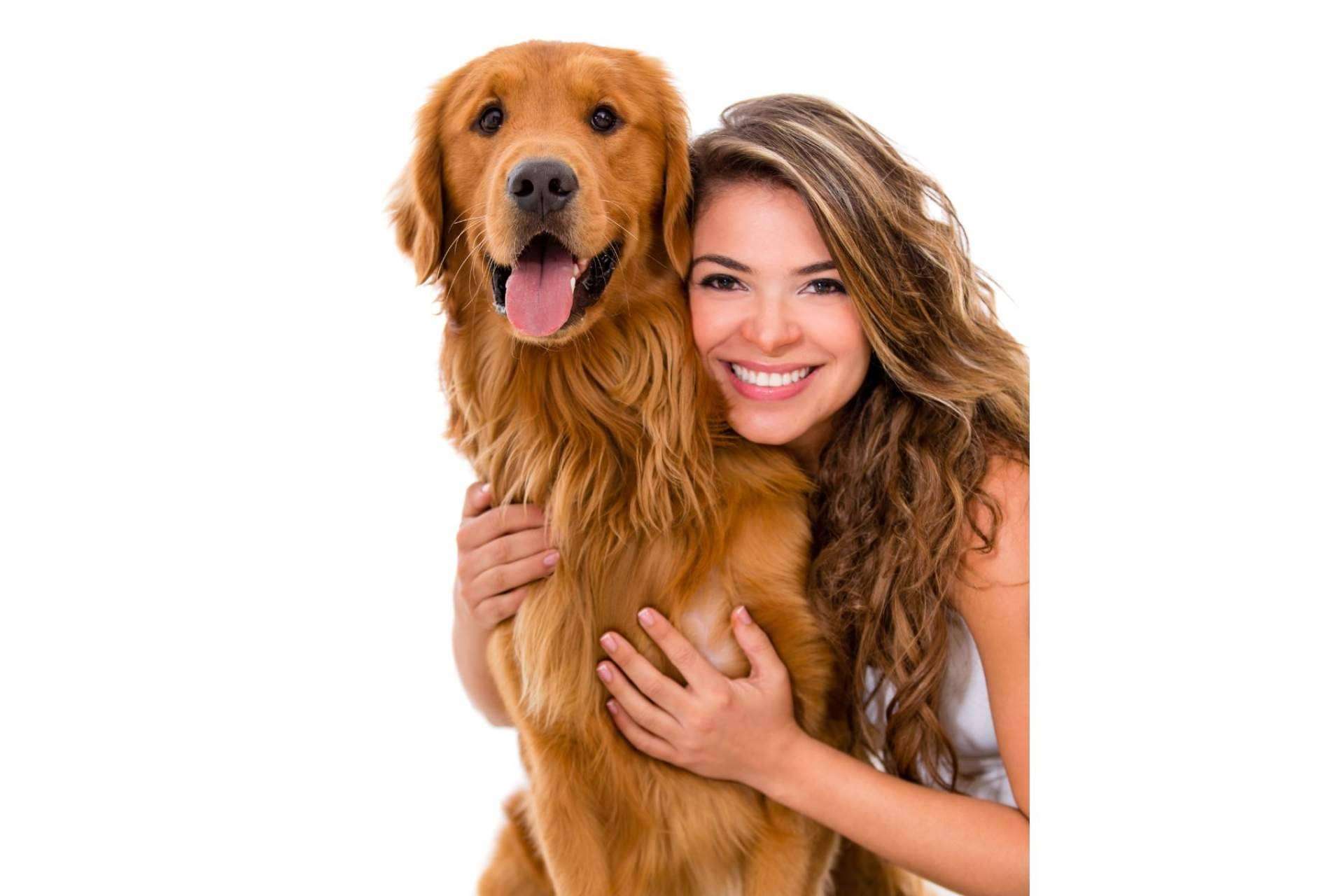 La elección del momento ideal para adoptar un perro