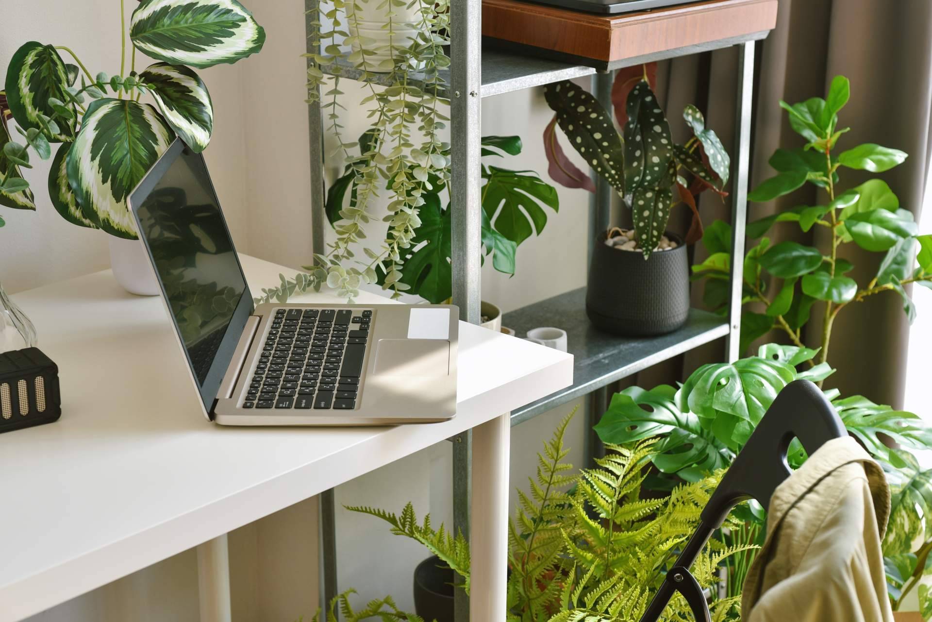 La combinación de plantas artificiales para dar un toque especial a cualquier espacio