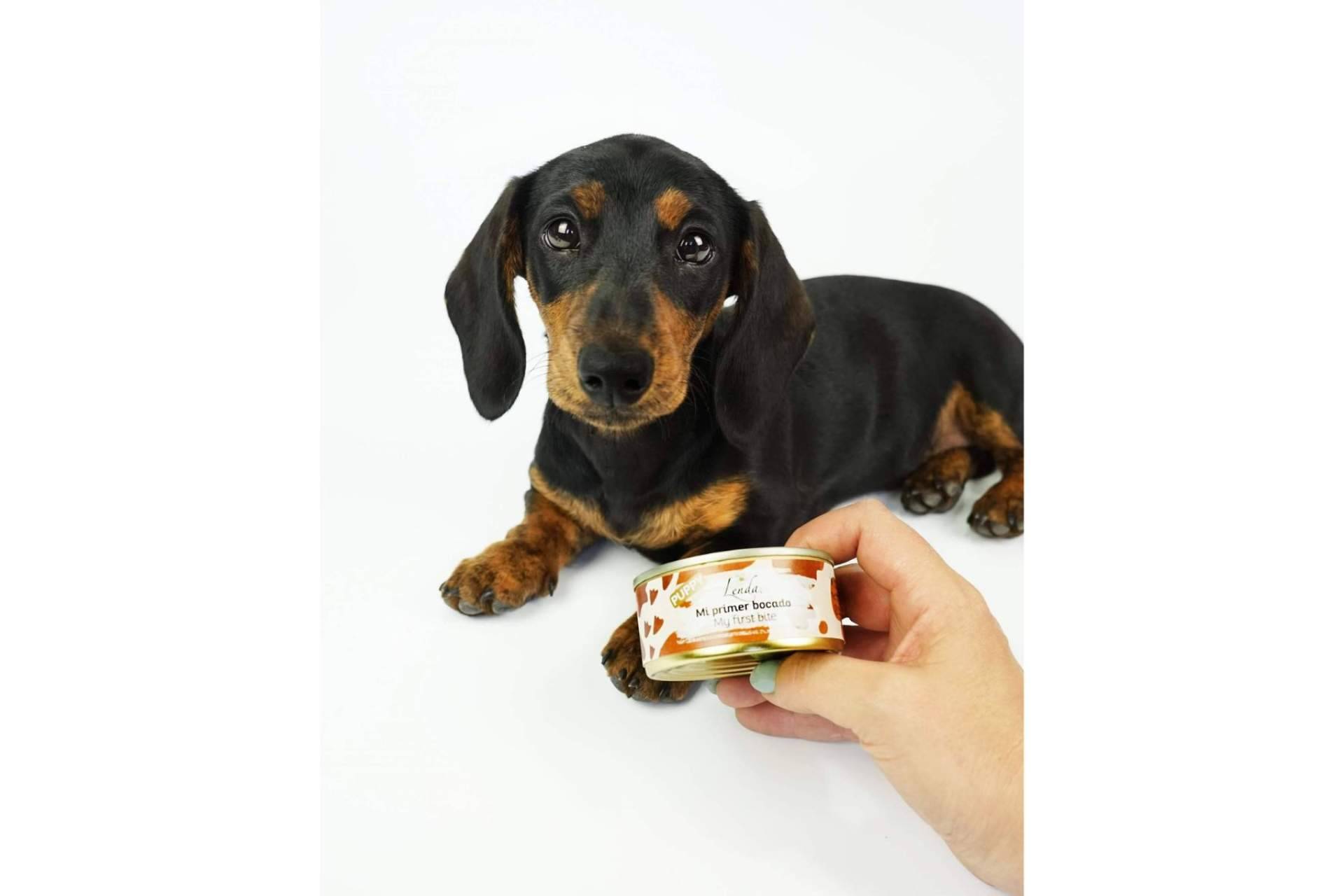 El menú degustación para cachorros de Lenda