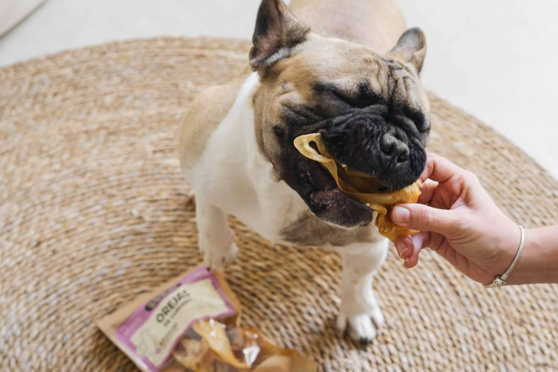 Wild Balance apuesta por la alimentación natural para mascotas y aterriza en Dubái