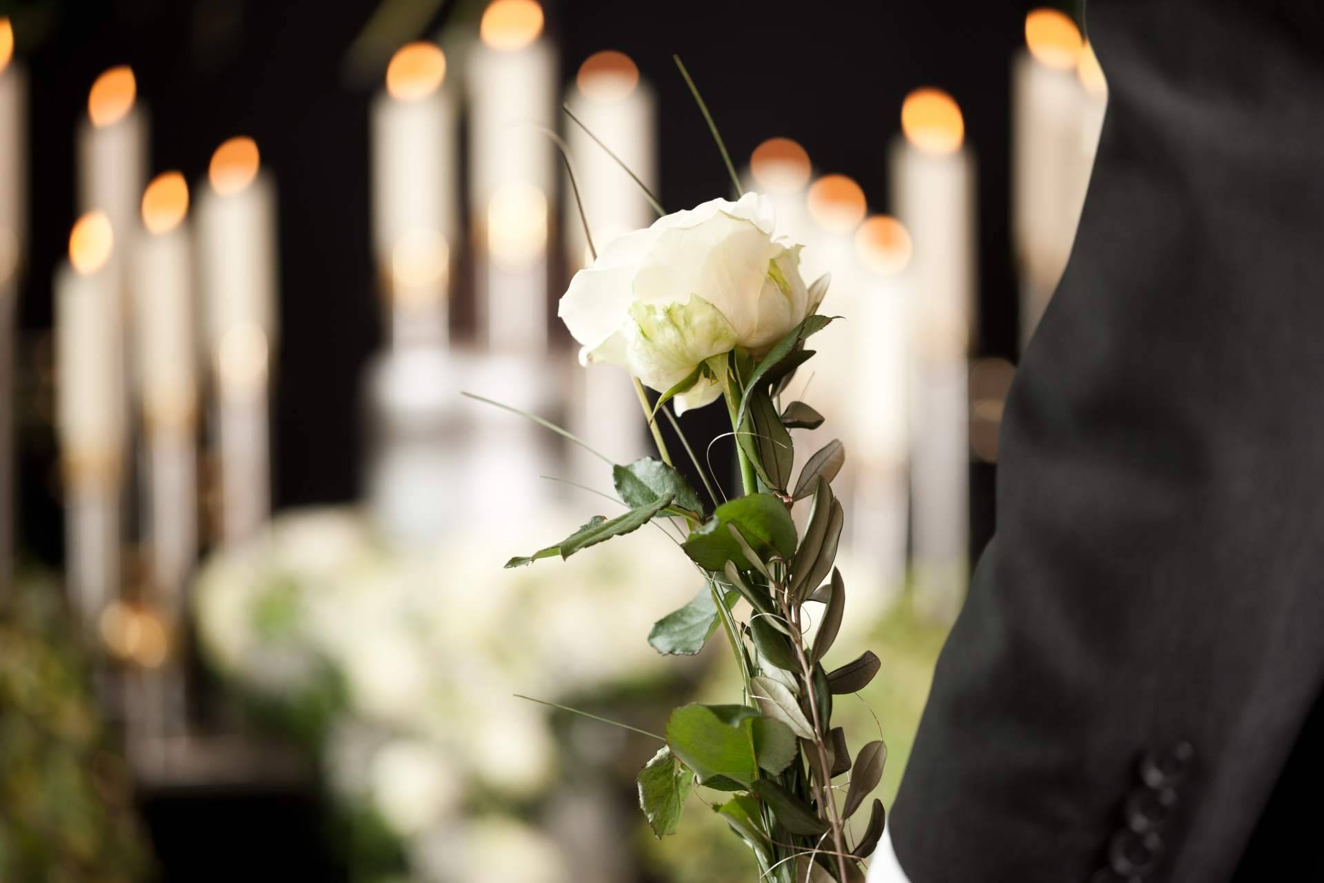 Así es como se están adaptando las empresas, la sostenibilidad llega al sector funerario