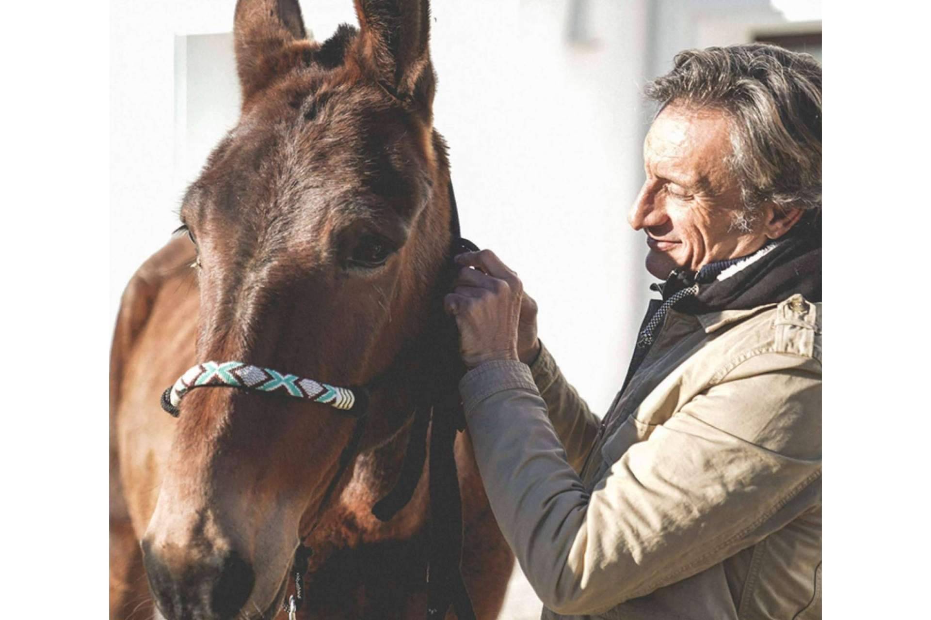 ¿Cuáles son los principales beneficios físicos y mentales de pasear a caballo?, por Maktub Bohemian Rides