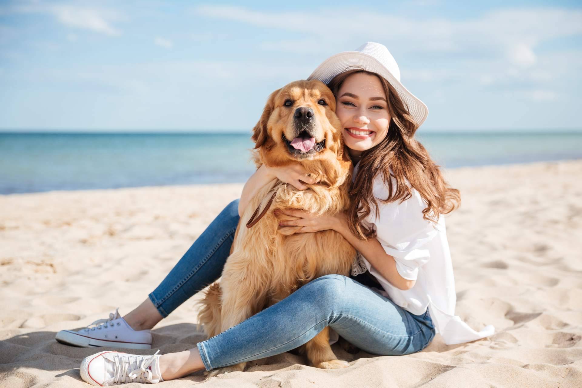 Ginqo, la nueva marca de pienso natural para perros y gatos a base de proteína de insecto