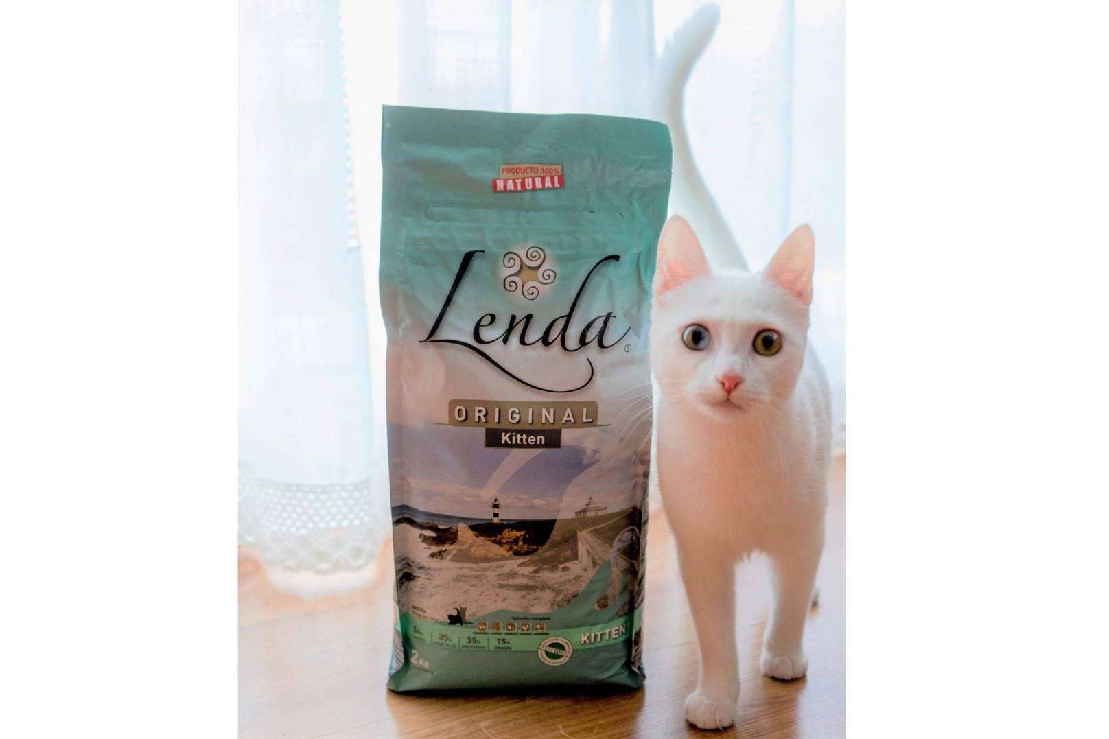 Cuidar de la salud de los gatos con Lenda Kitten, de Lenda
