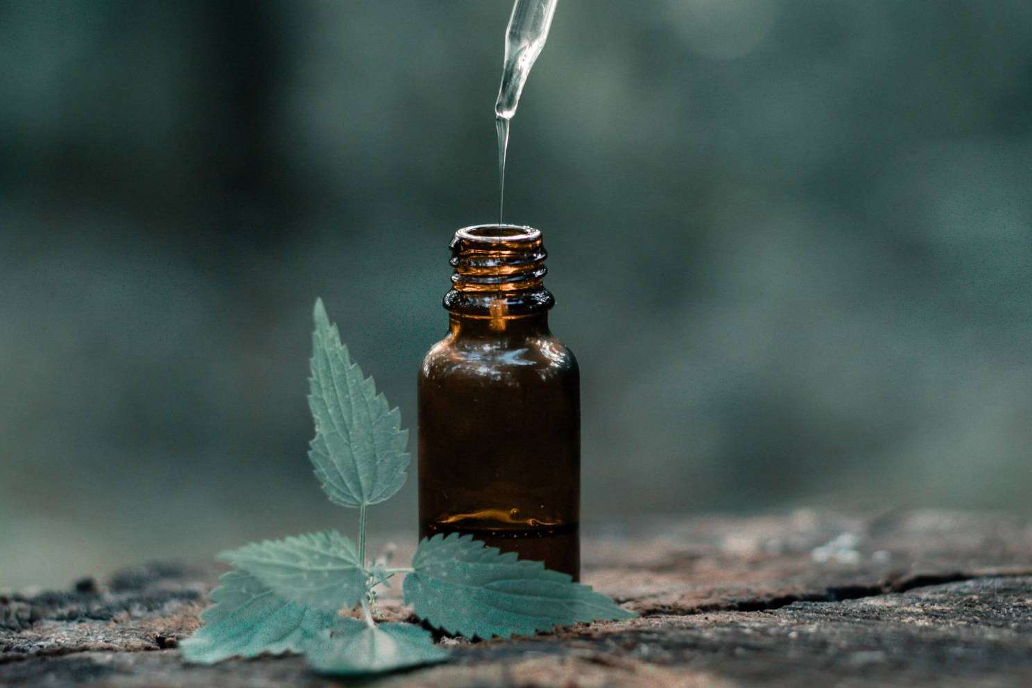 Una línea de aceites esenciales completamente naturales, de la mano de Naturamol