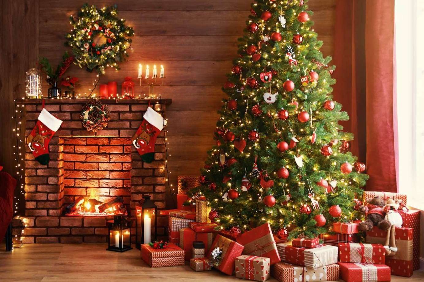 ¿Cuáles son los libros más destacados del género juvenil en Navidad? Editorial Entre Libros lo explica