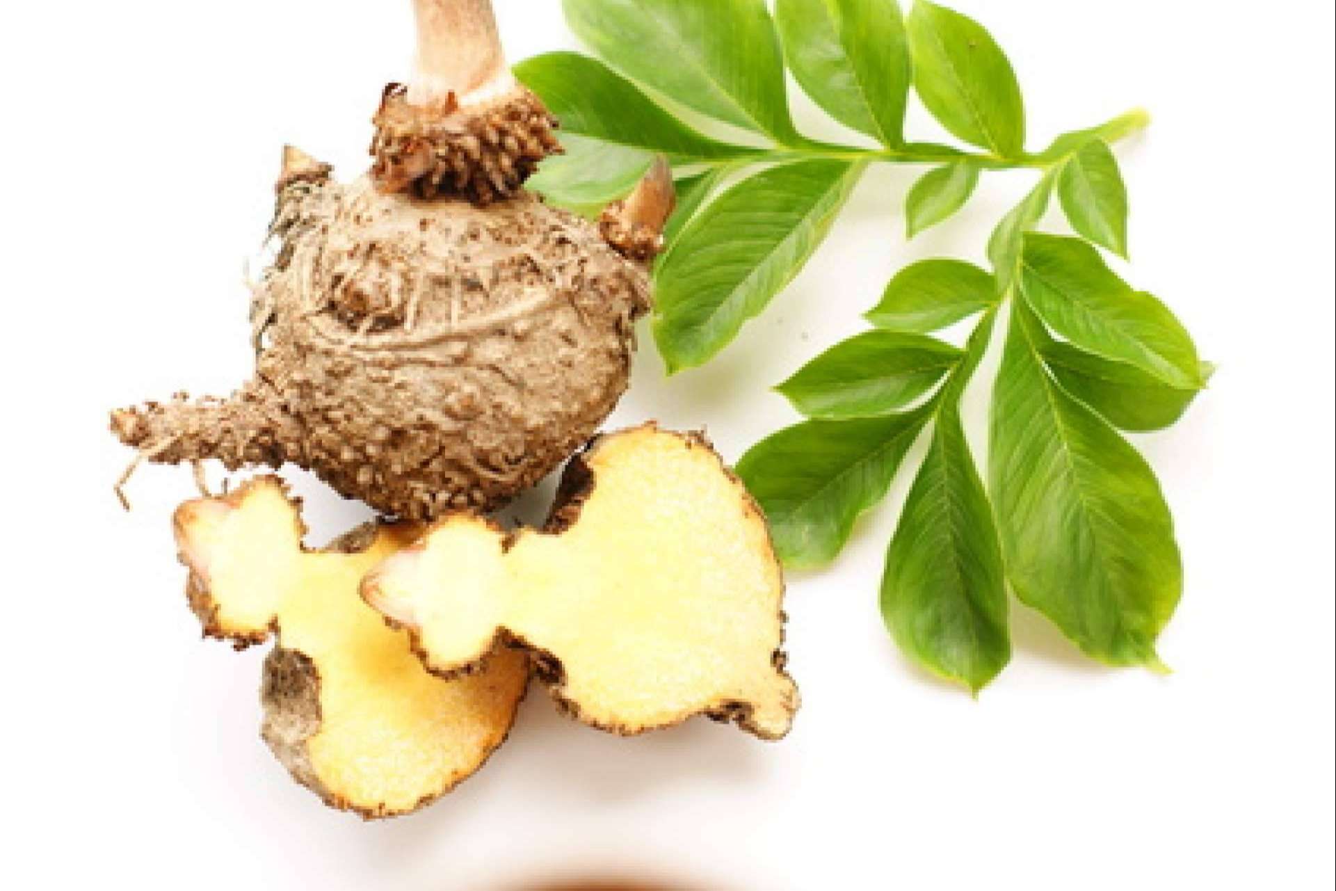 ¿Cuáles son los beneficios de la pasta de konjac?, de la mano de The Konjac Shop