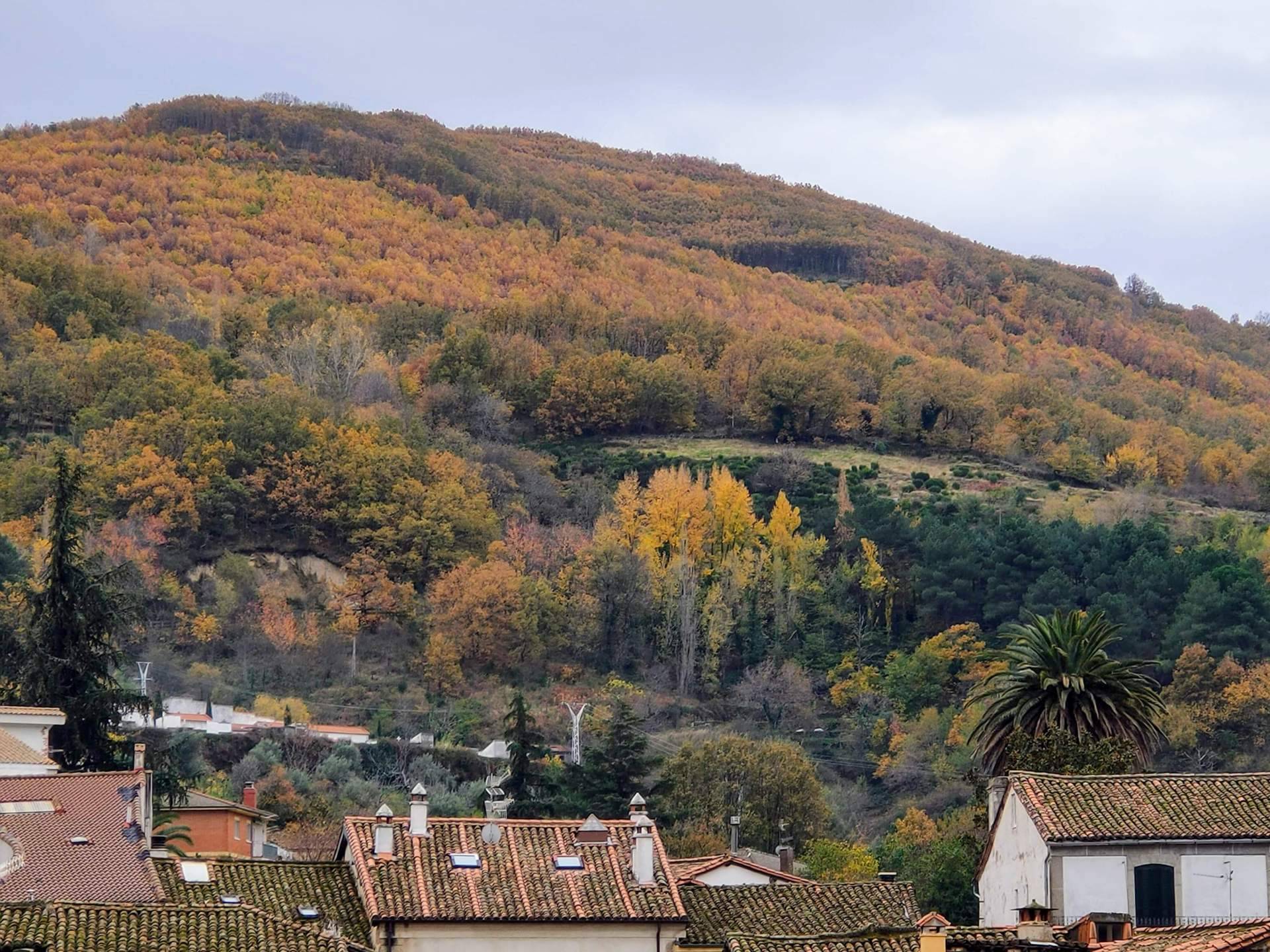 Viajar al norte de Extremadura, Baños de Montemayor en el valle del Ambroz
