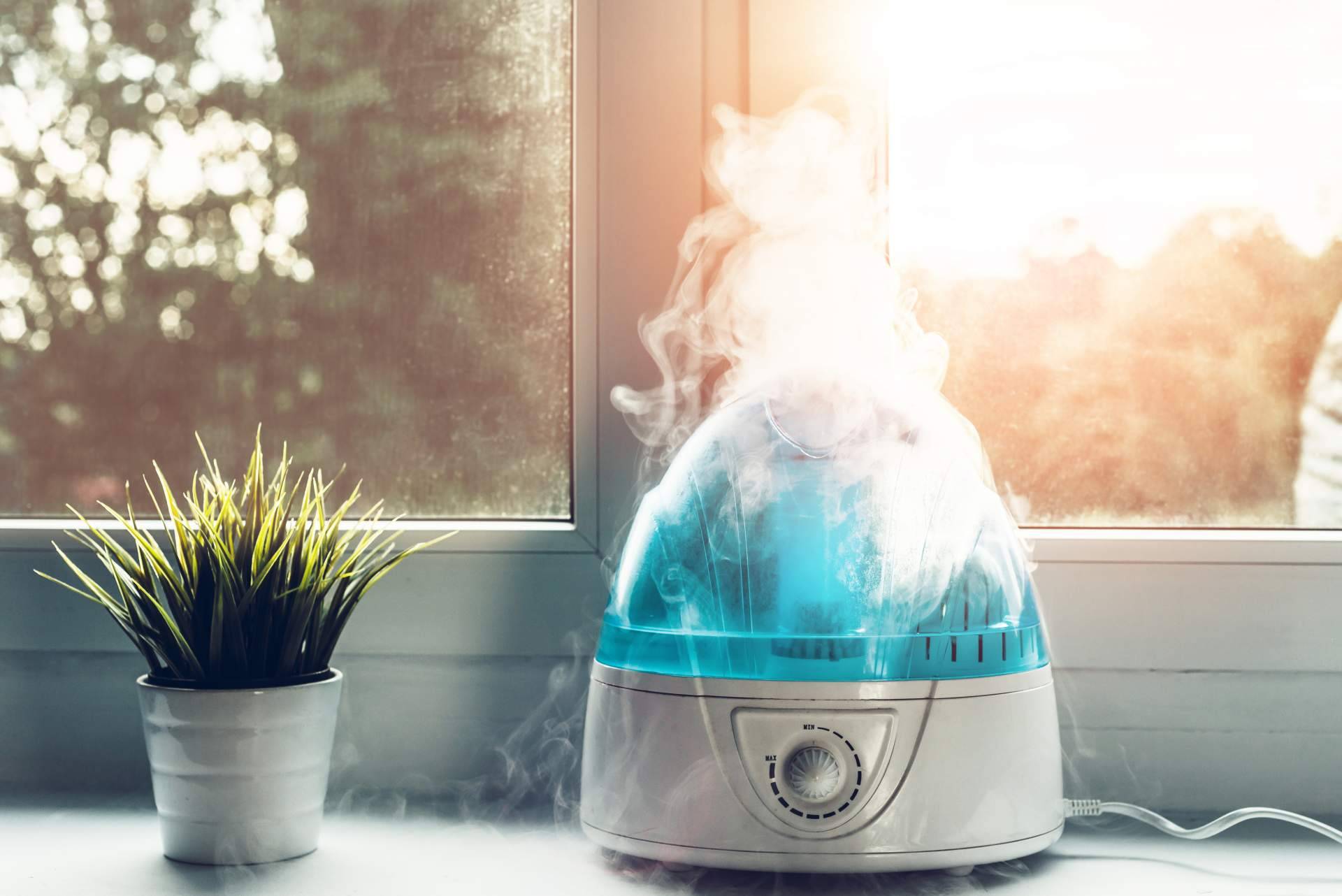 Hogar Climatizado, las ventajas de utilizar humidificadores en casa