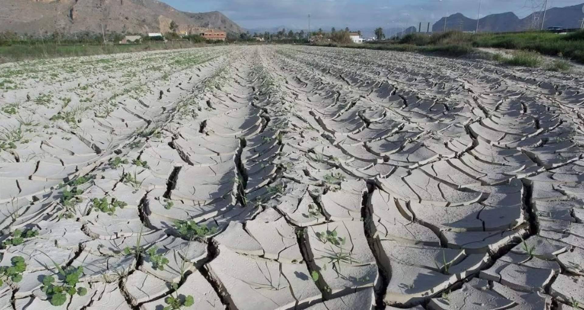 La llegada de conflictos por la falta de agua