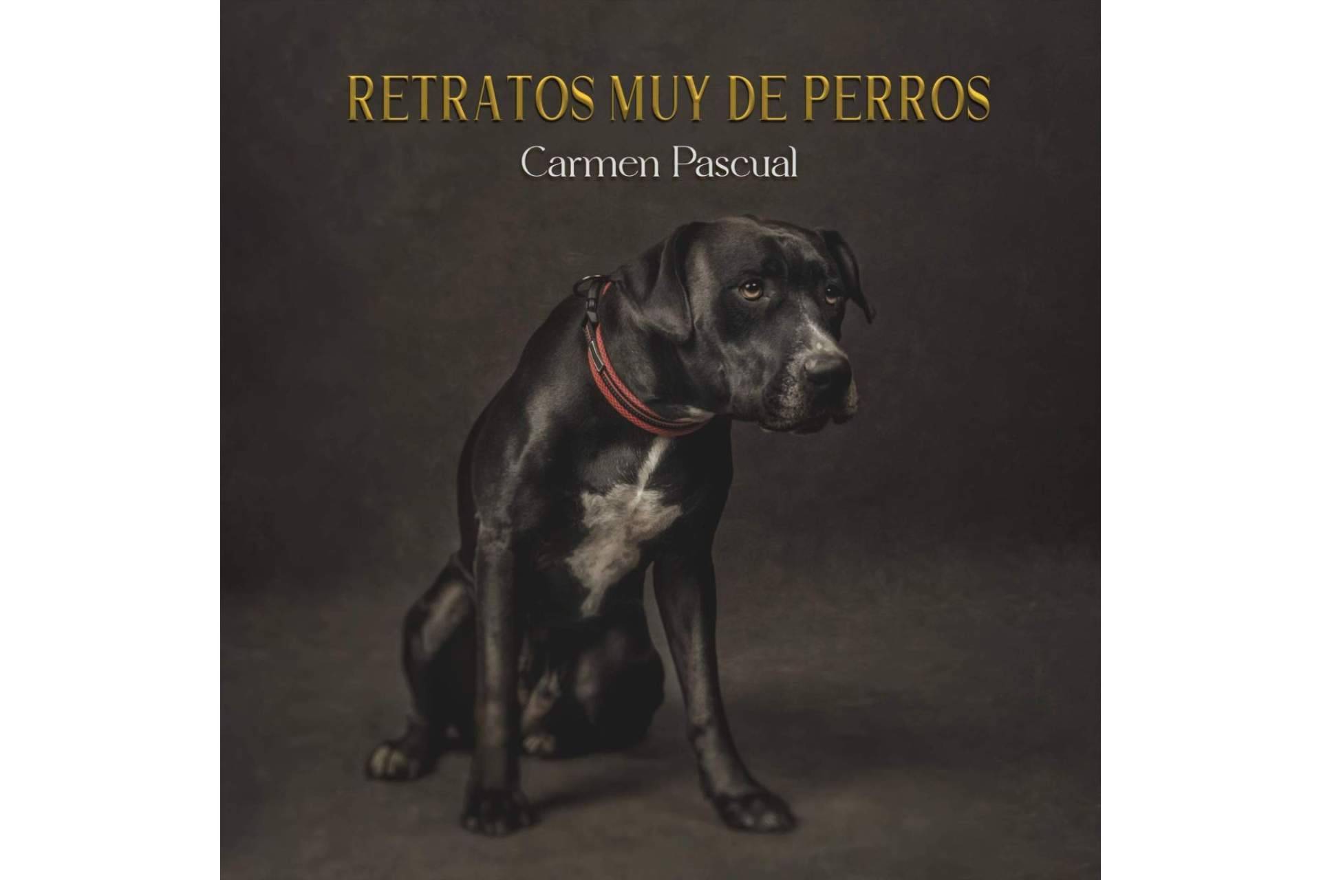 La obra de Carmen Pascual, 'Retratos muy de perros', editada por Libros y Literatura
