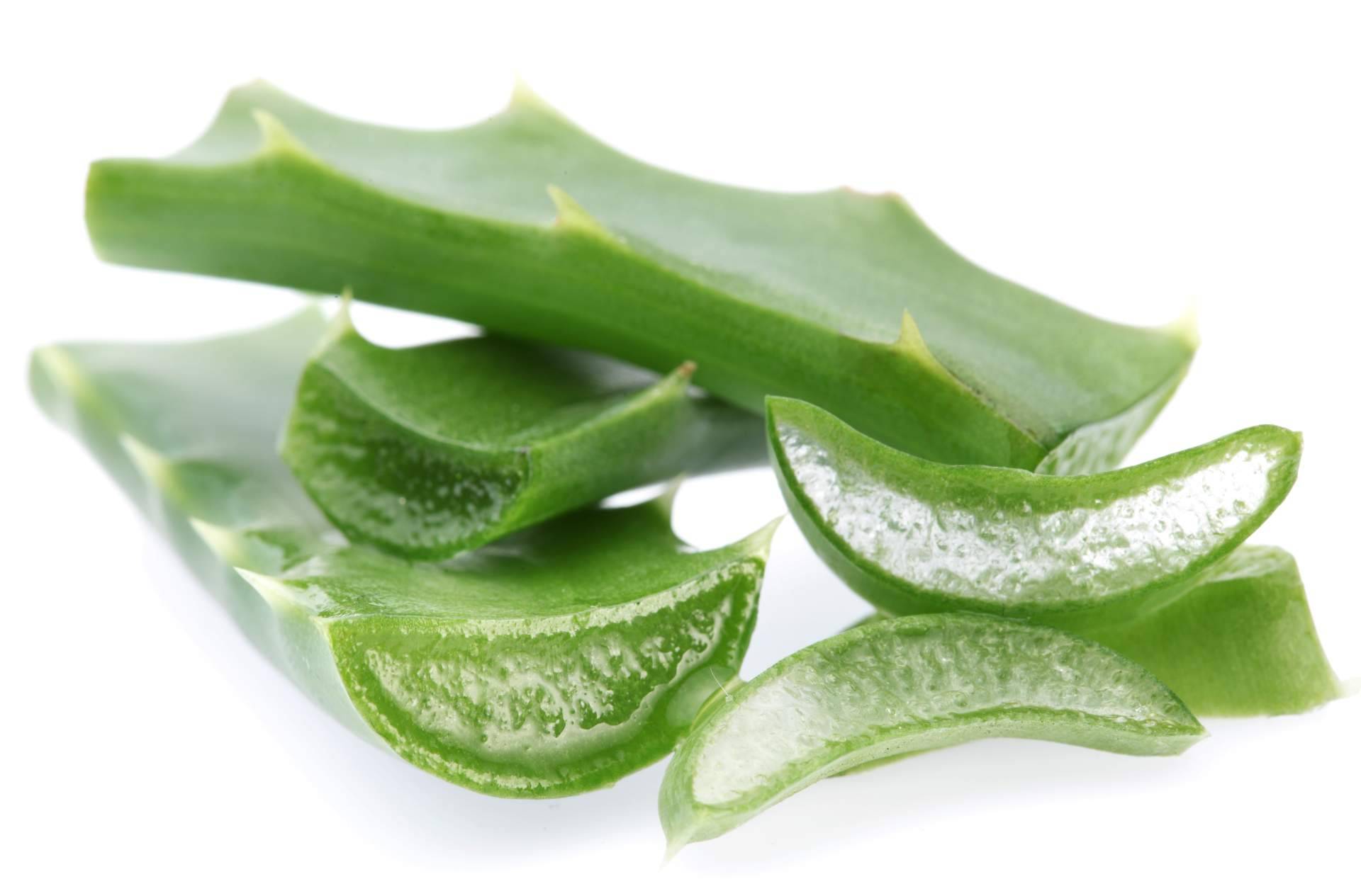 Cosmonatura, una tienda online de cosmética natural que se especializa en el aloe vera