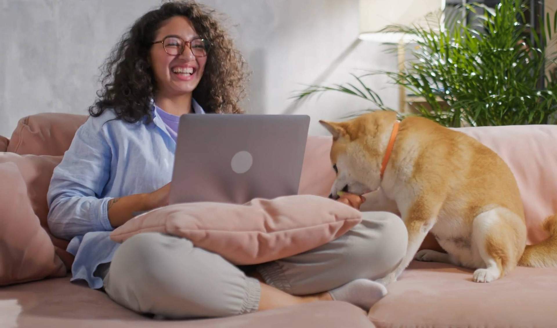 Según Wolves Legacy, 'Buscamos una agencia de marketing con experiencia y completa, y la encontramos'