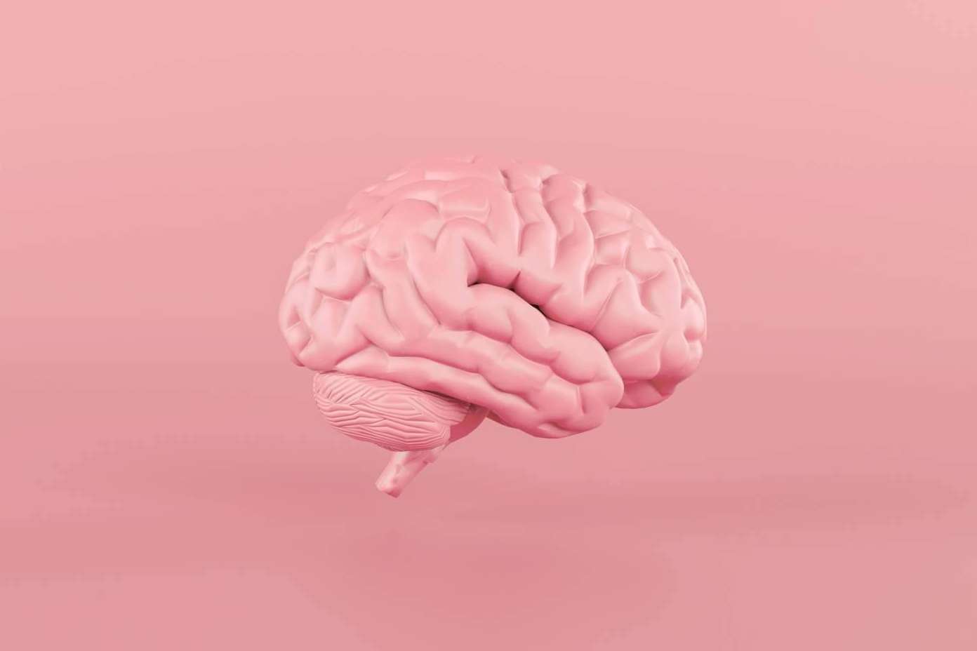 Favorecer la plasticidad cerebral de la mano de los productos de Store Naturopatía