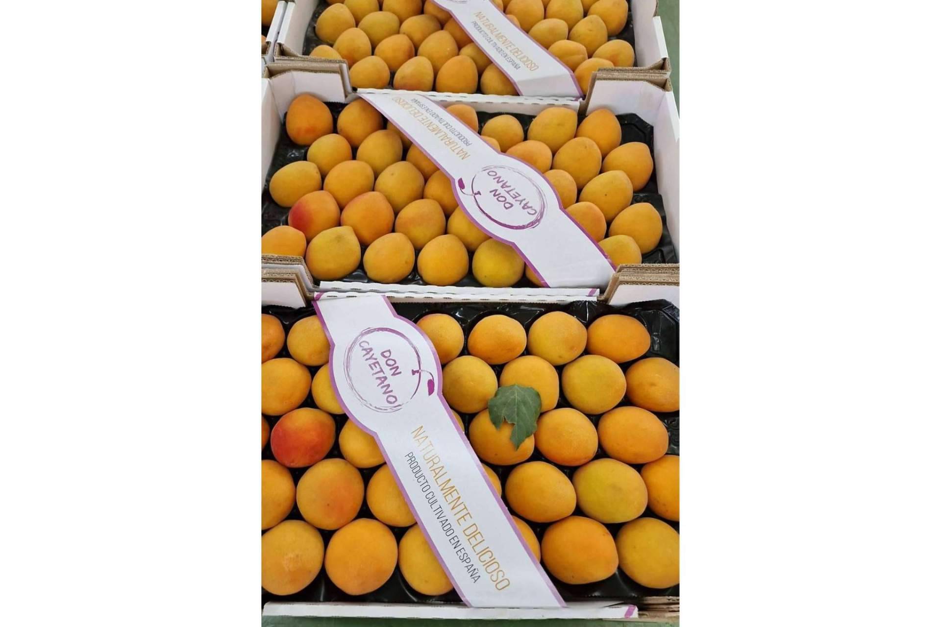 La empresa española Frutas Don Cayetano sigue en expansión