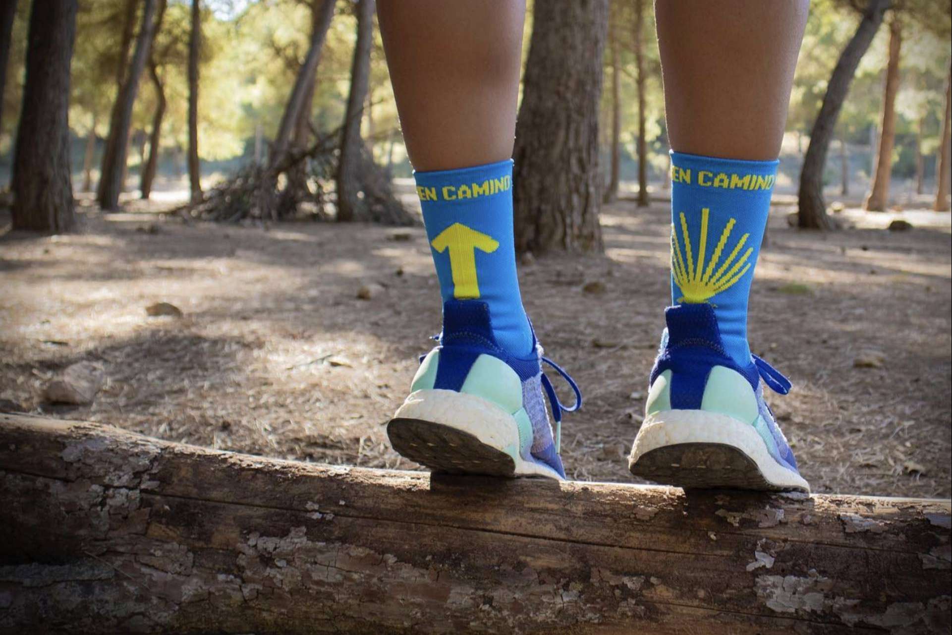 Recorrer el Camino de Santiago con unos buenos calcetines