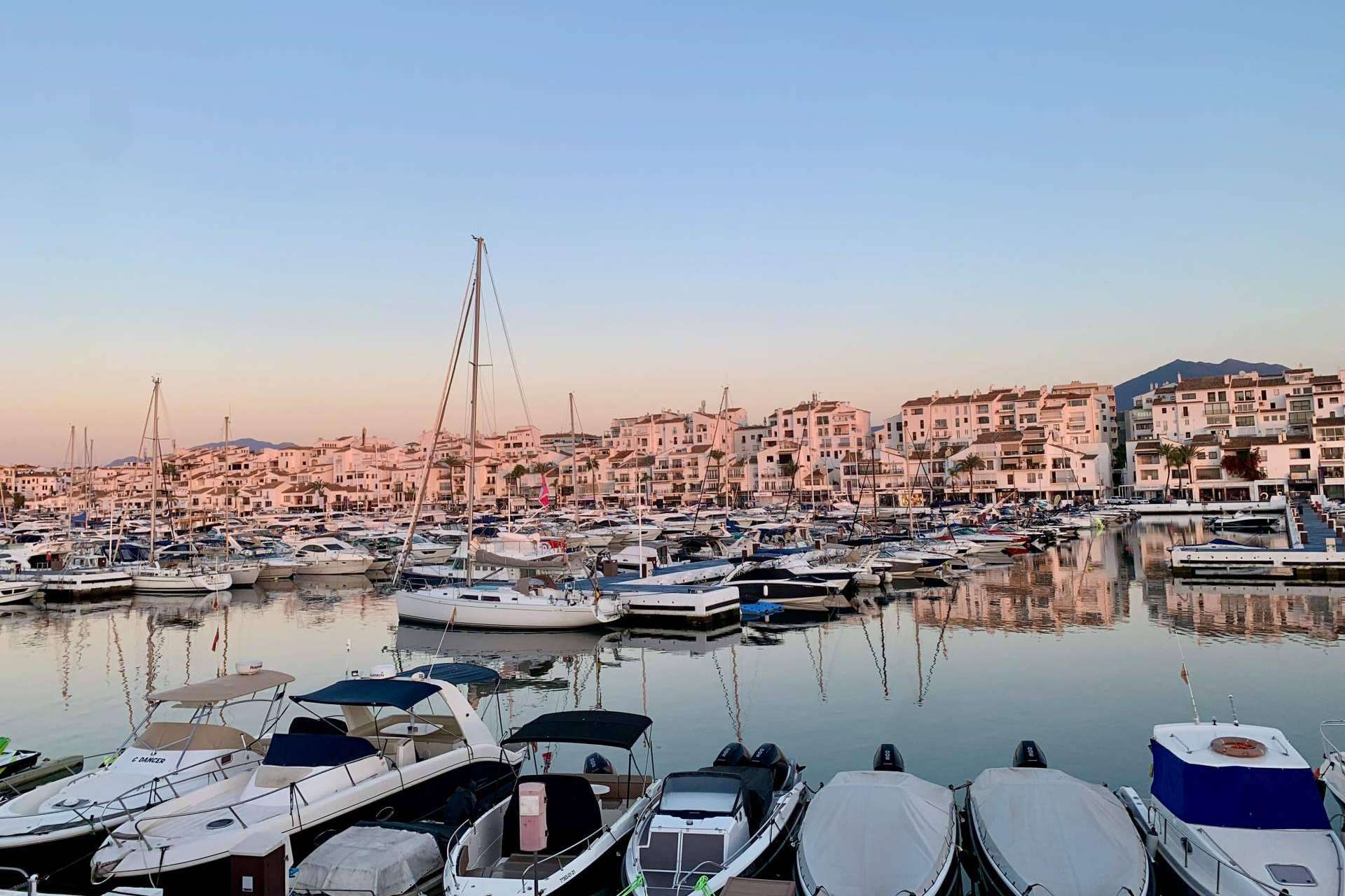 Made in Málaga ayuda a los negocios en Málaga a impulsar la visibilidad de sus productos y servicios