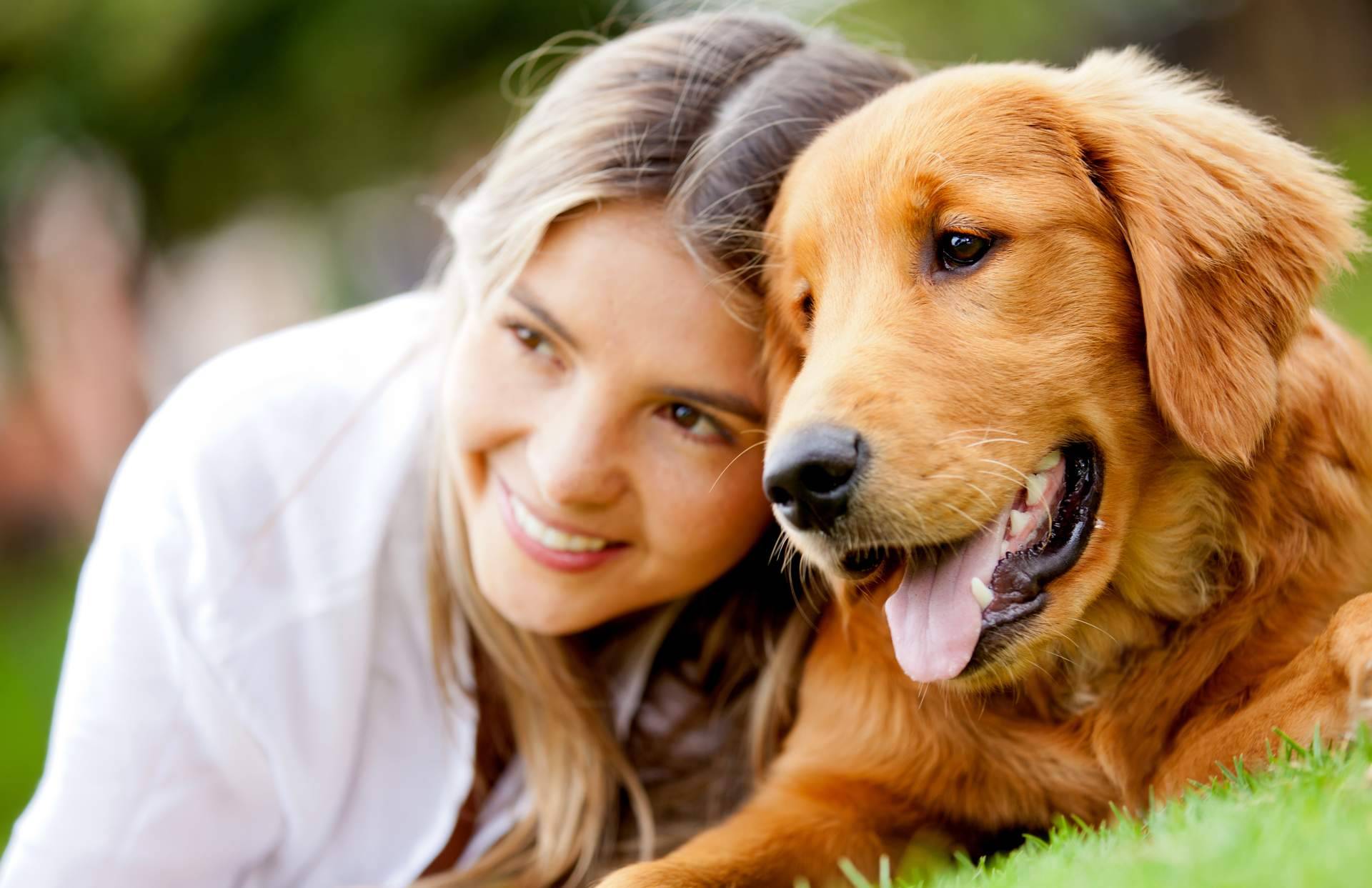 Los piensos para perros y gatos con harina de insectos son más eco-friendly