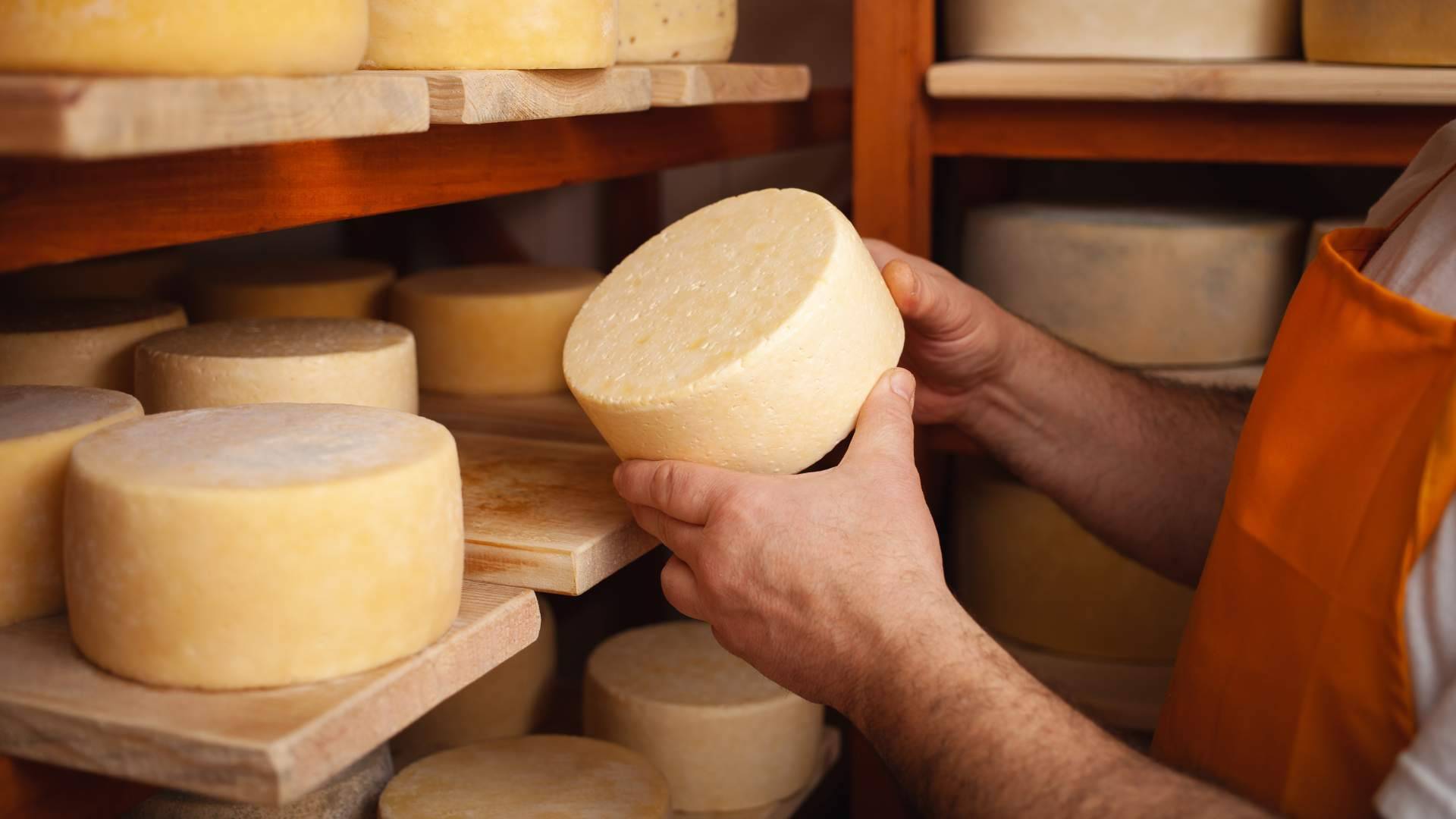Sabores de Tallante, una quesería artesana española premiada por su producción de quesos de cabra artesanos