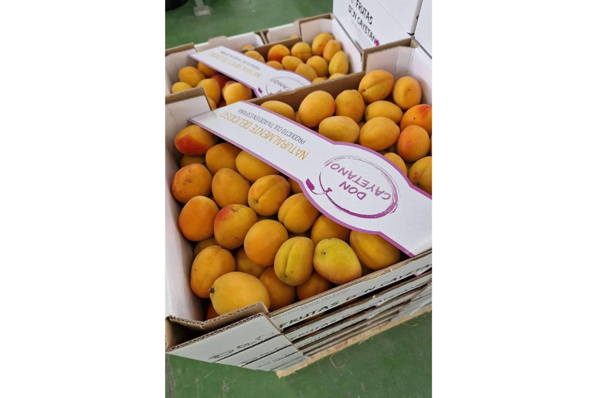Frutas Don Cayetano, la empresa especializada en la exportación de frutas de hueso y cítricos