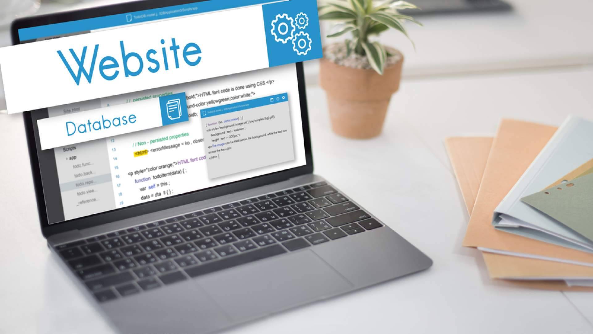 Estudio gratuito del posicionamiento web on page y off page de la web, con Agora