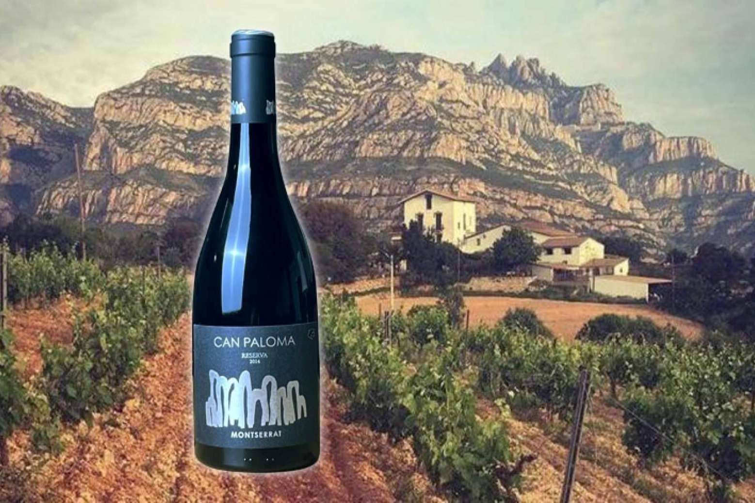 La empresa Caldeu presenta vinos Can Paloma con elaboración en Montserrat y un servicio de sommelier online