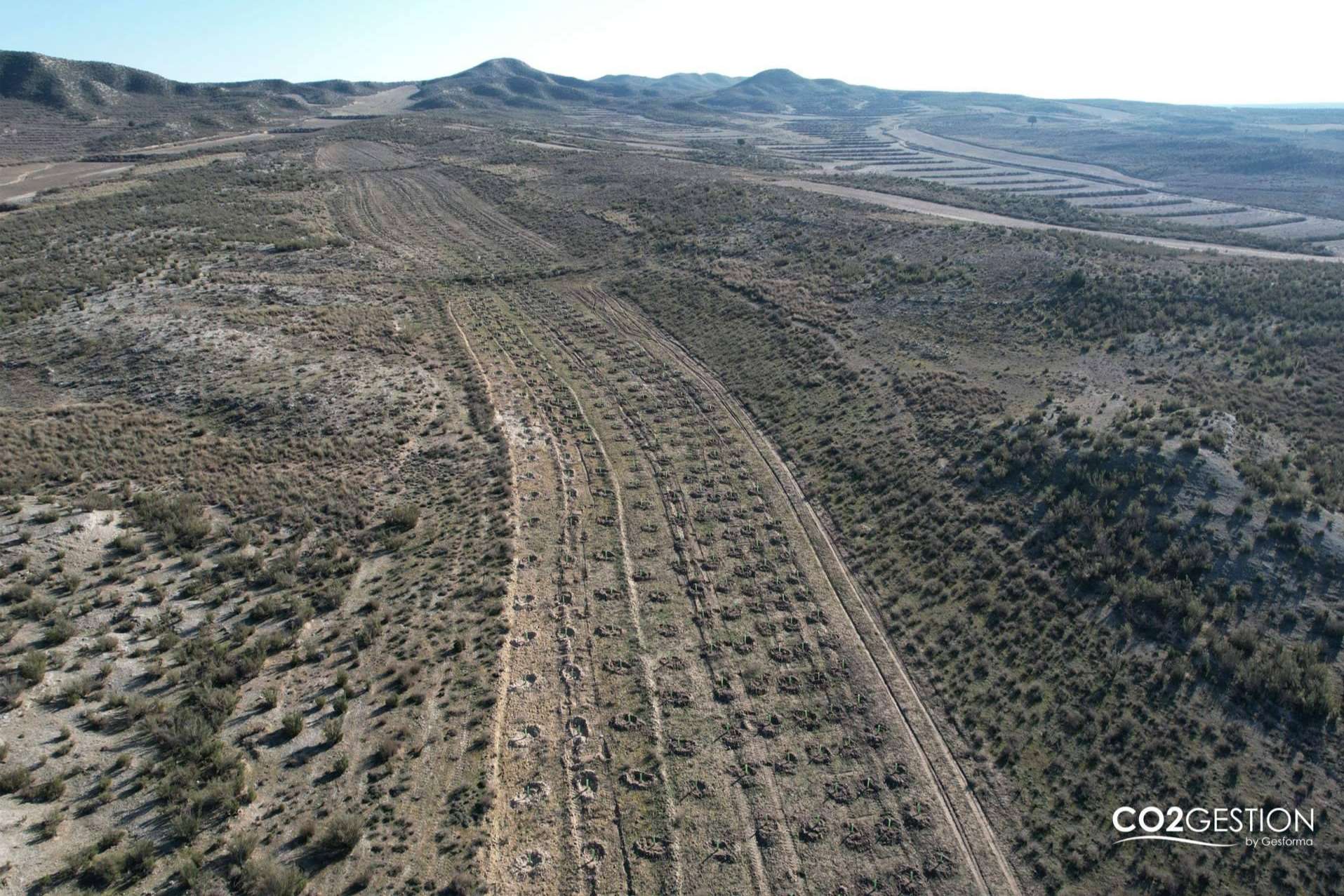 ICT Ibérica y Fundación Alcoraz plantan un nuevo bosque en Zaragoza