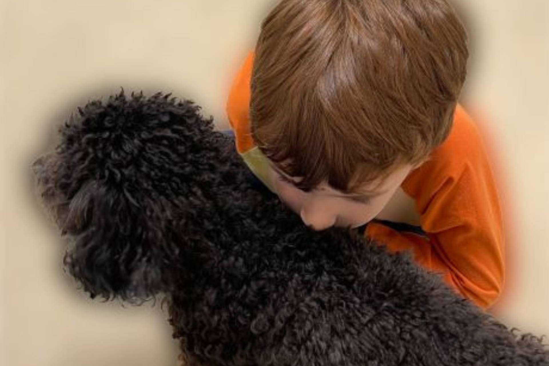 El centro clínico que ofrece un diagnóstico diferencial del autismo, E-THERAPYKIDS