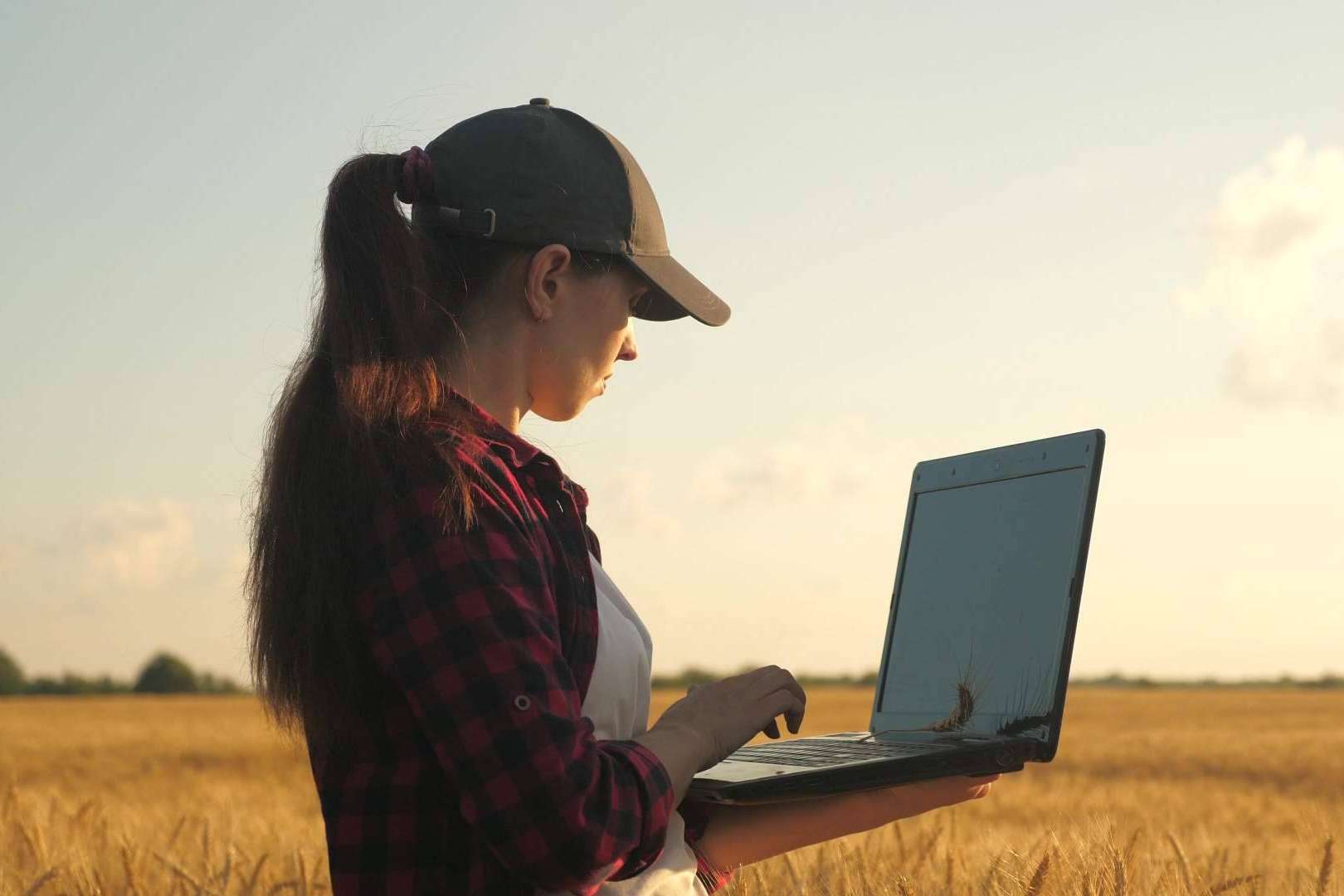 El software de Certitec que permite optimizar la gestión de las explotaciones agrícolas y agropecuarias en España, ERP Cuadernos de Explotación