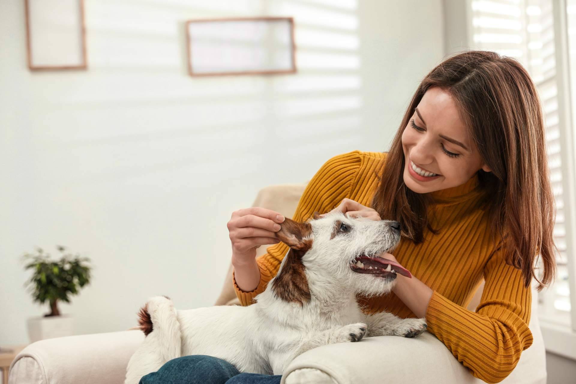Emprender un negocio propio con 'Bécate' de El Perro Feliz, el cual ofrece 6 becas de 7.500 €