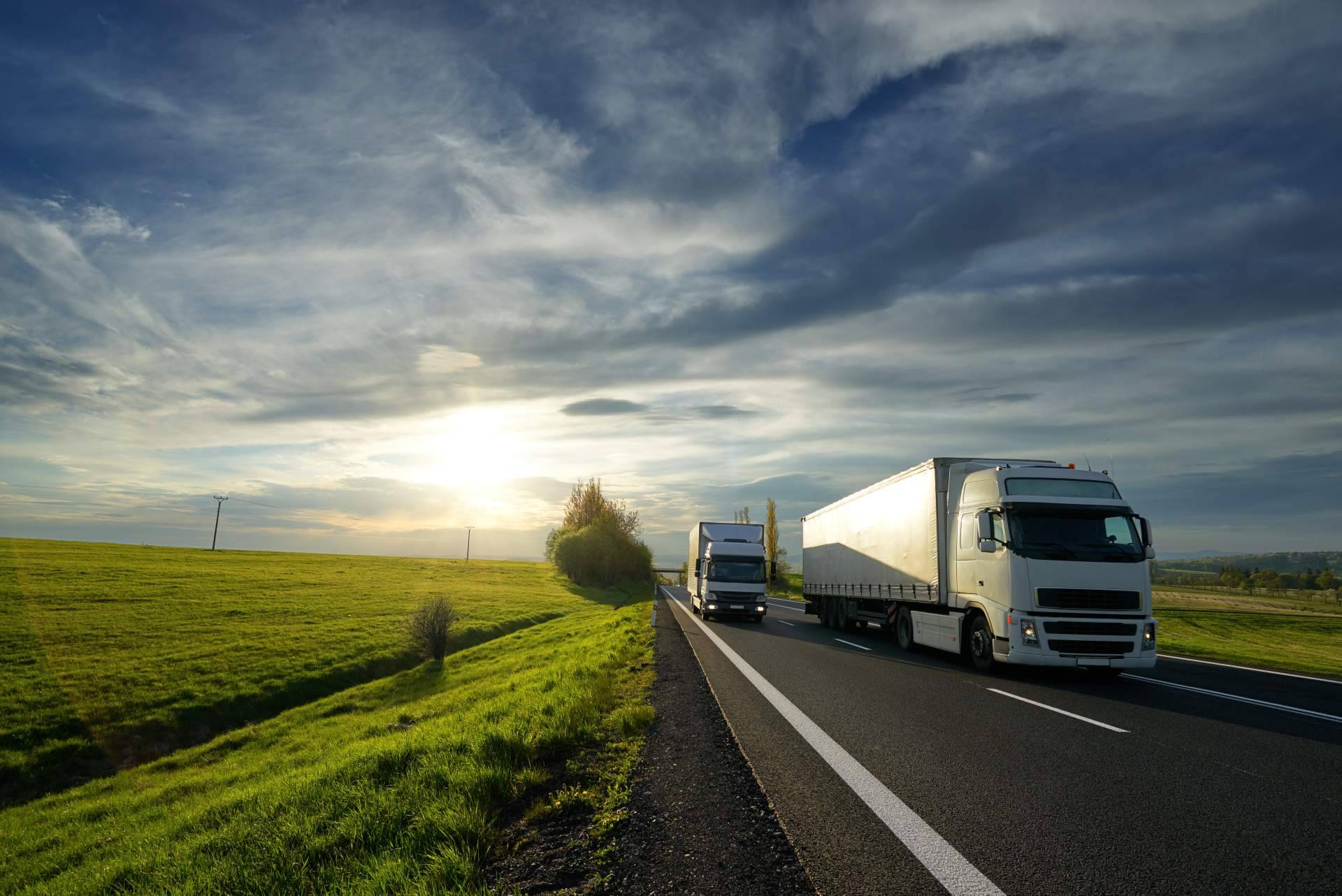 Tecnología y calidad en transporte a temperatura controlada de la mano de WeMob