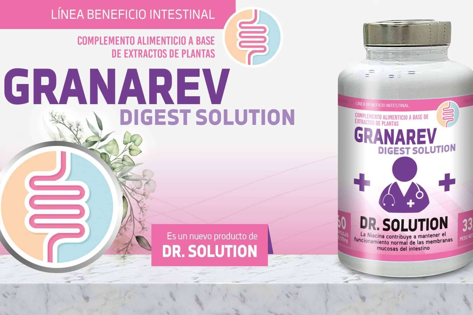 Regeneración gastrointestinal con Granarev Digest Solution, de Dr. Solution