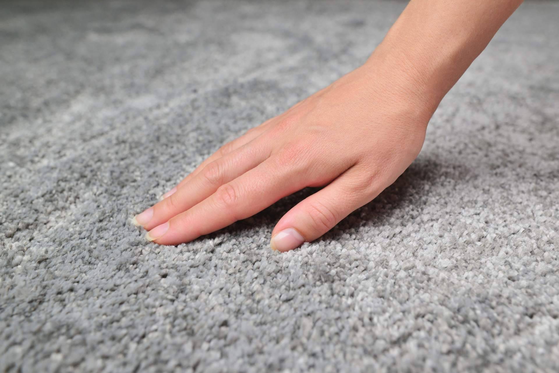 Alfombras y Cortinas sobre las funciones de las alfombras en cada habitación