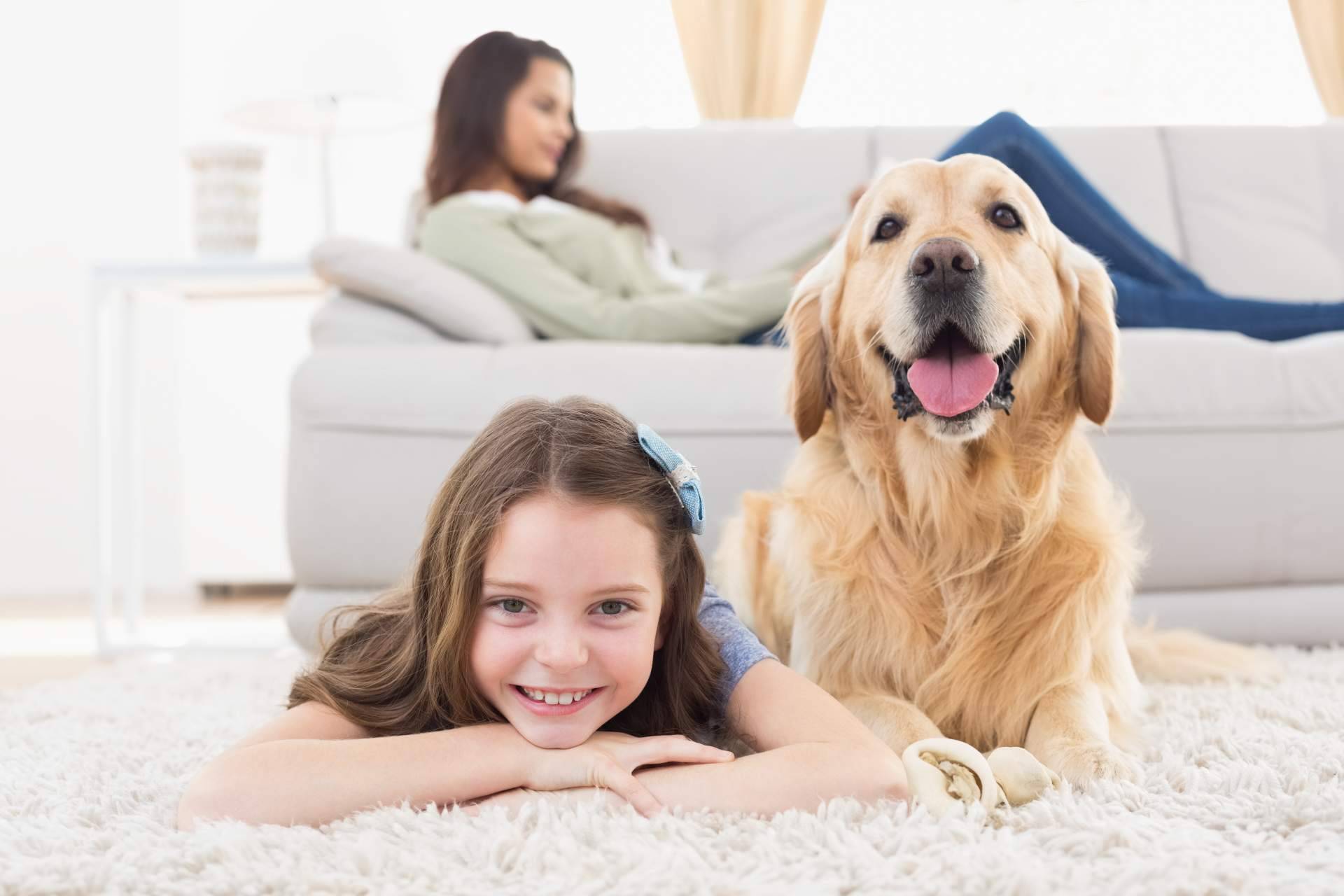 El Perro Feliz expone los beneficios de la sonoterapia en animales de compañía