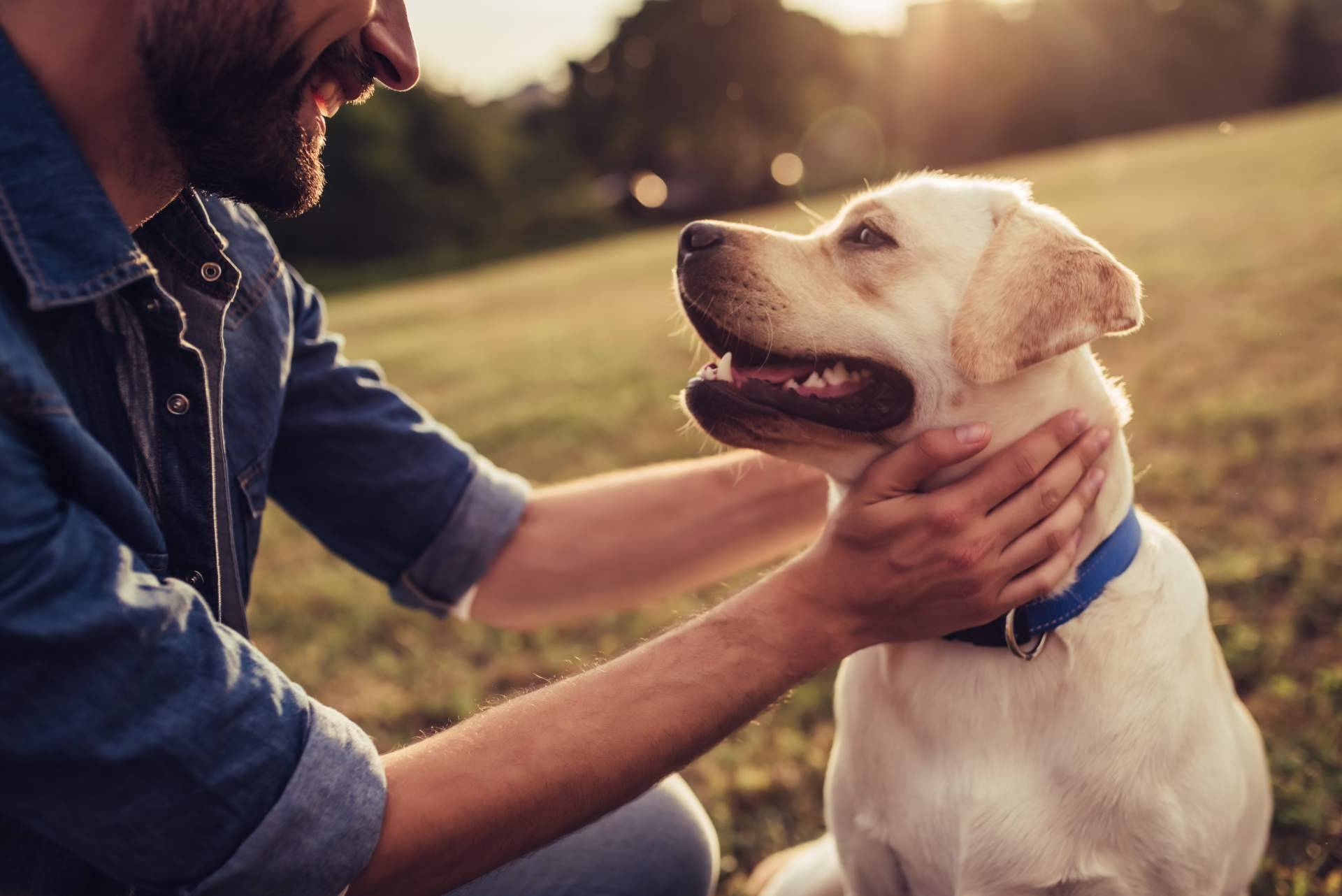 Tormo Franquicias Consulting cuenta las claves del éxito de la franquicia fundada por Jesús Becerra, El Perro Feliz