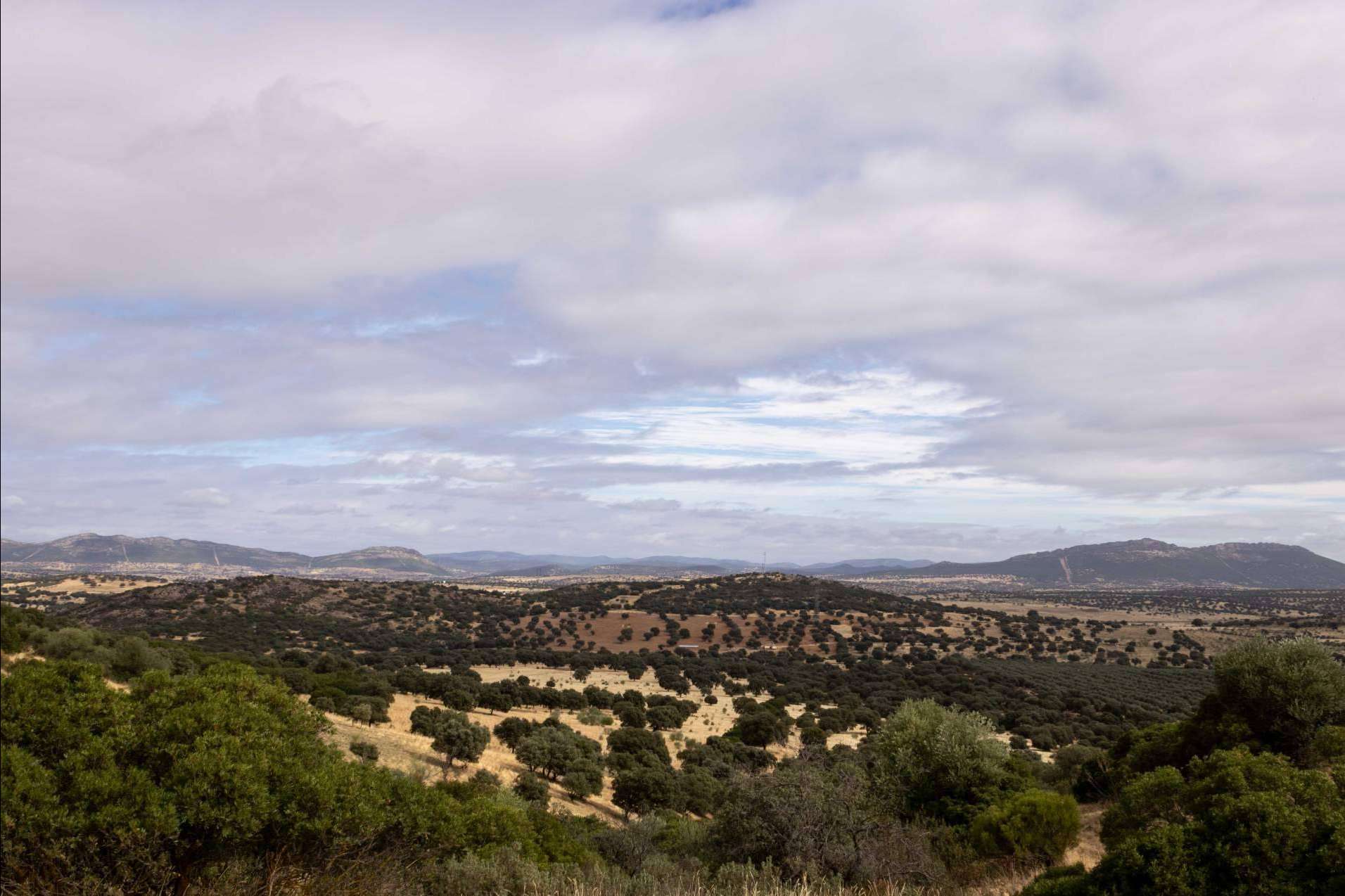 Disfrutar de las rutas de senderismo en Alamillo