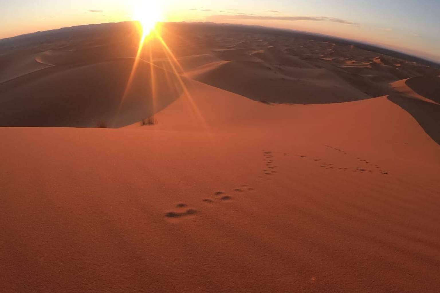 Excursiones en camello a las dunas de Erg Chebbi, con Camel Trekking Tours