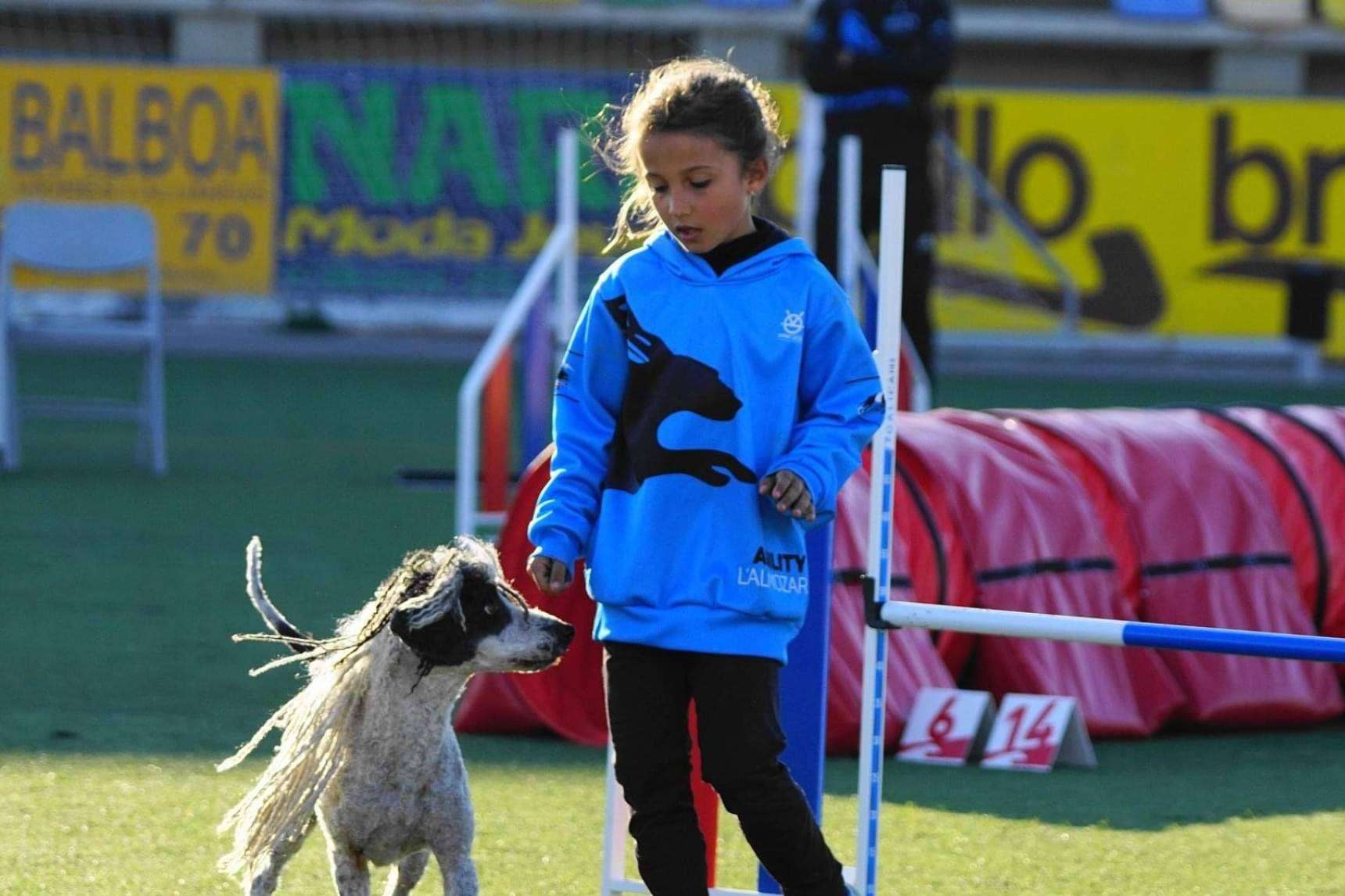 Nuevo curso de educación canina los sábados a partir del 11 de marzo, de la mano de l'Almozara Can Bosc