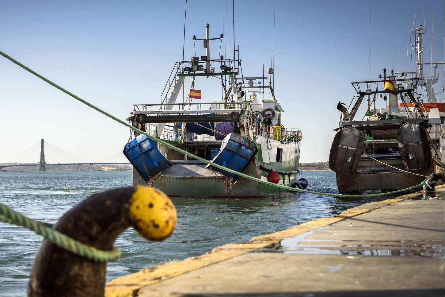Lonja de Ayamonte, profesionales de la venta de pescados y mariscos frescos