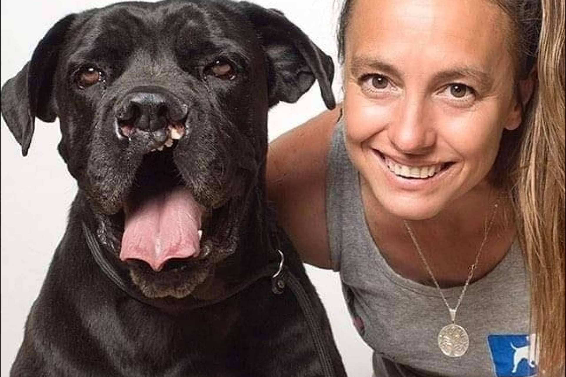 PERROBUENO, la guardería de perros que utiliza un método sin jaulas