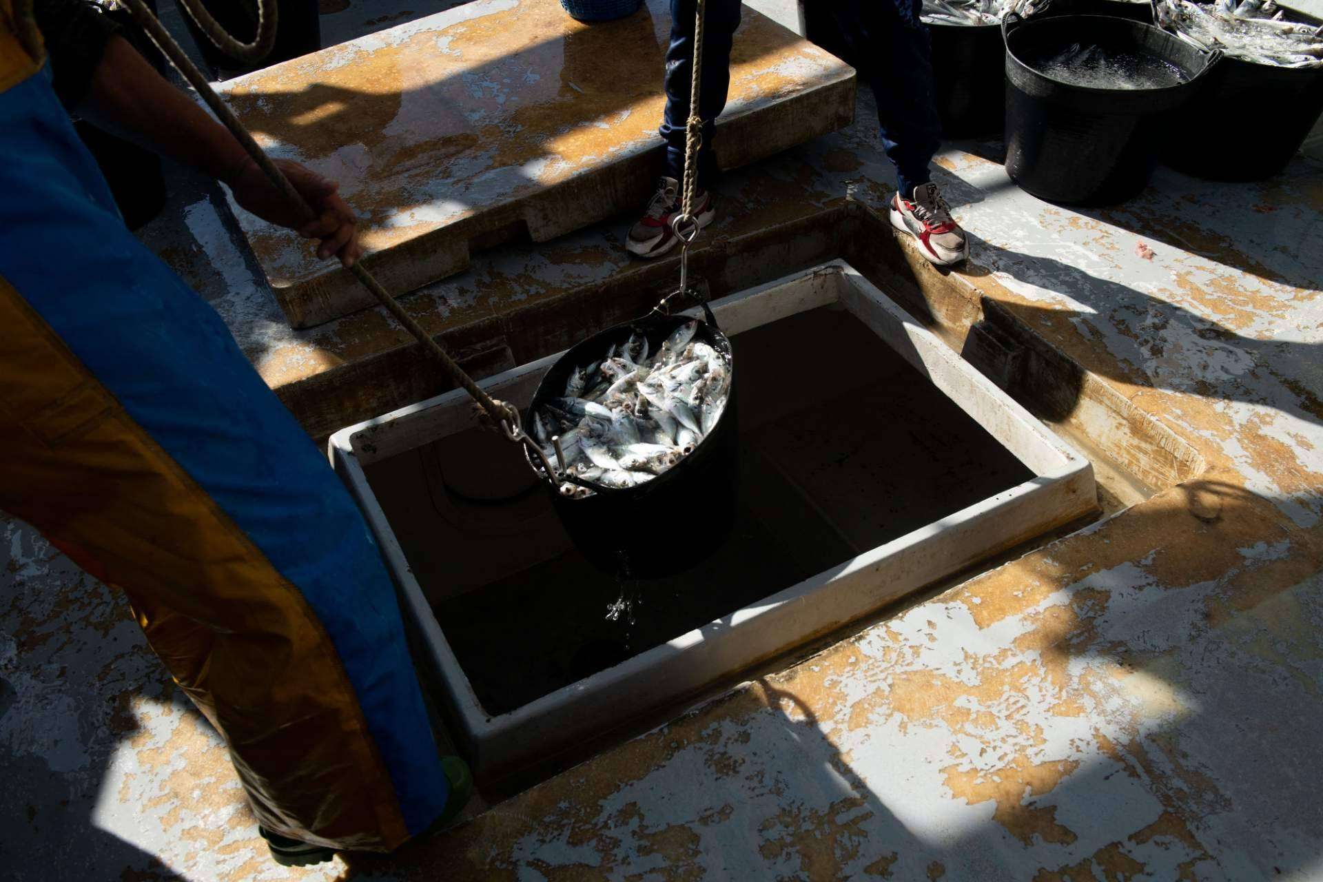 Mesa para 10. El poder de la fotografía para contar historias y poner en valor la agricultura, ganadería y pesca de una comarca, la Axarquía