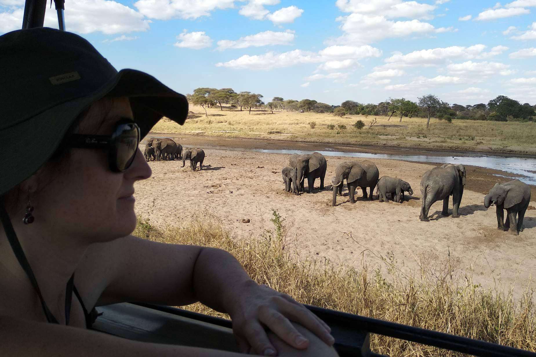 ¿Es posible organizar un safari en Kenia absolutamente espectacular sin pagar mucho?