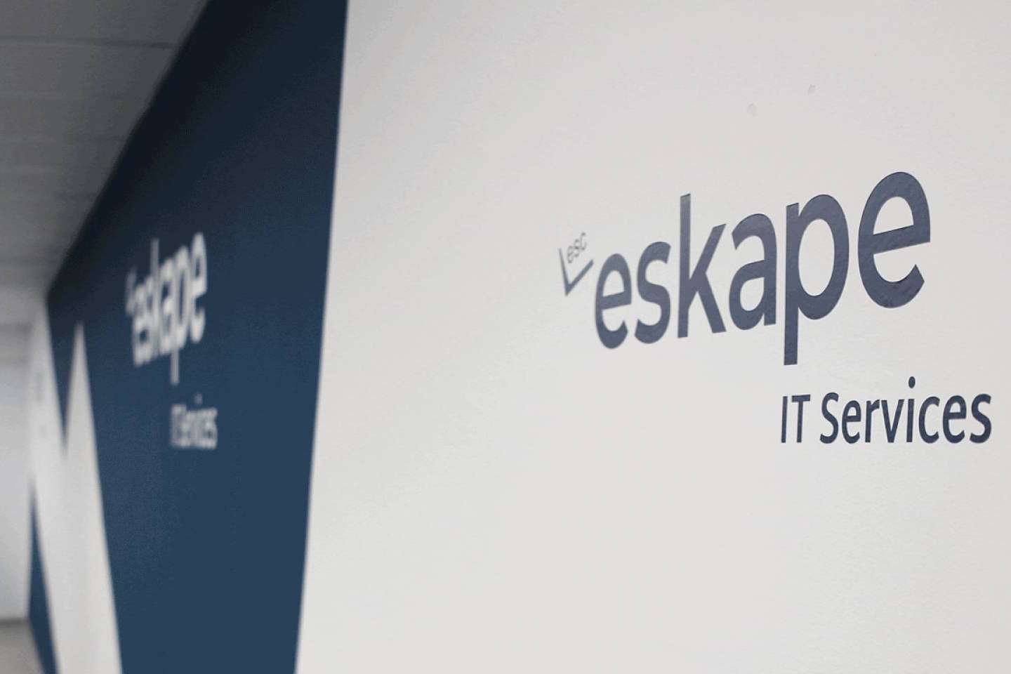 La máquina y el humano, condenados a entenderse en los negocios. La empresa Eskape es especialista en esto