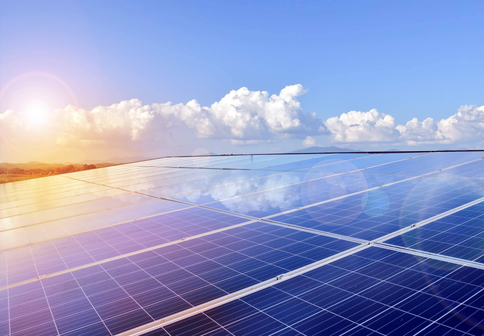 Los beneficios de la instalación de paneles fotovoltaicos en industrias agroalimentarias, con Zerinthia Battery