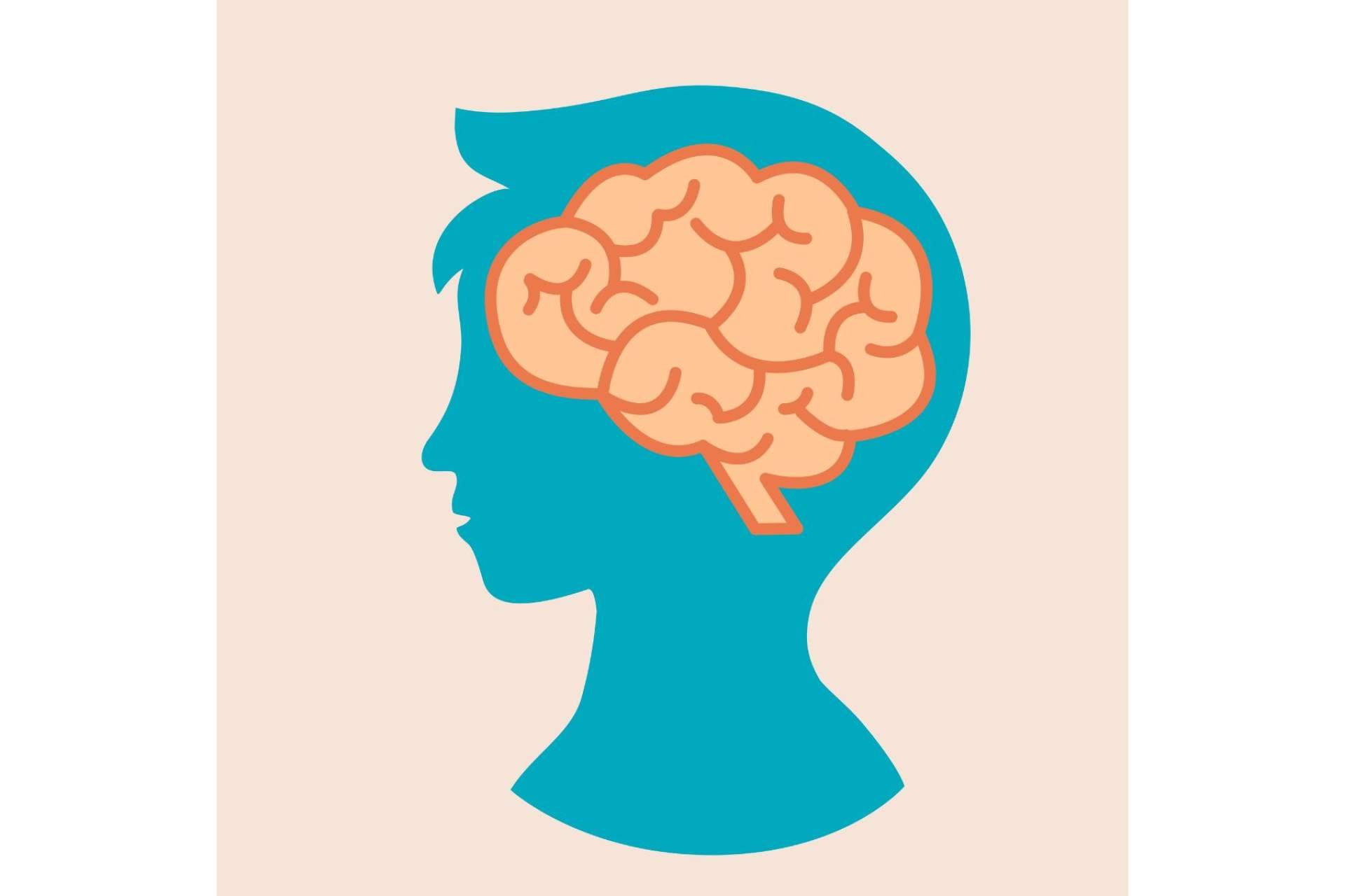 Los límites de la neurociencia en la educación en el libro de ICCE titulado 'Neuro-Educación Realista'